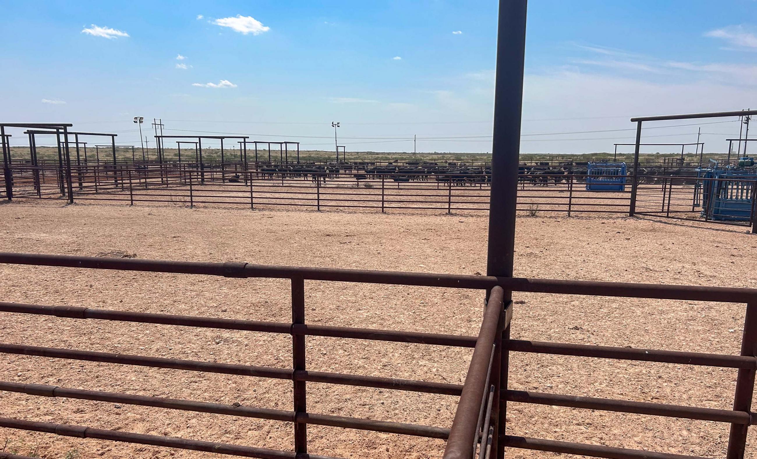 DASCO Cattle Company, LLC Ranch property photograph 3