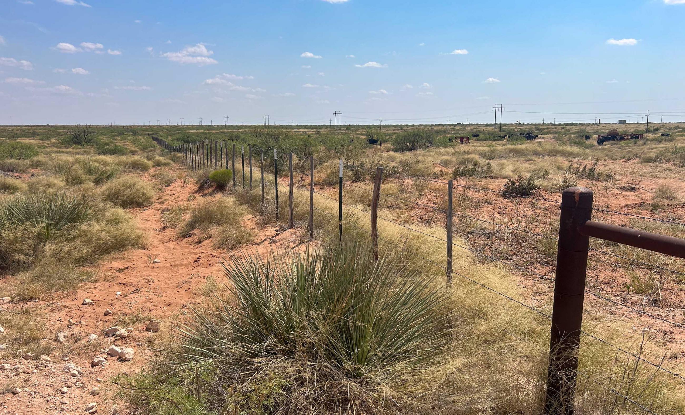 DASCO Cattle Company, LLC Ranch property photograph 13