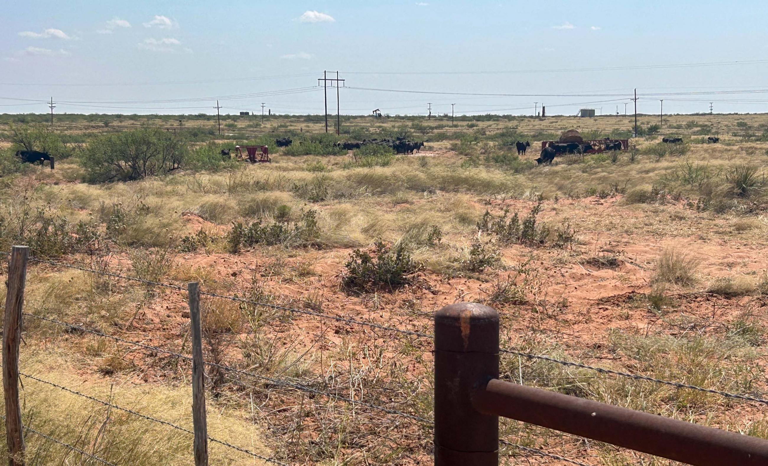 DASCO Cattle Company, LLC Ranch property photograph 8