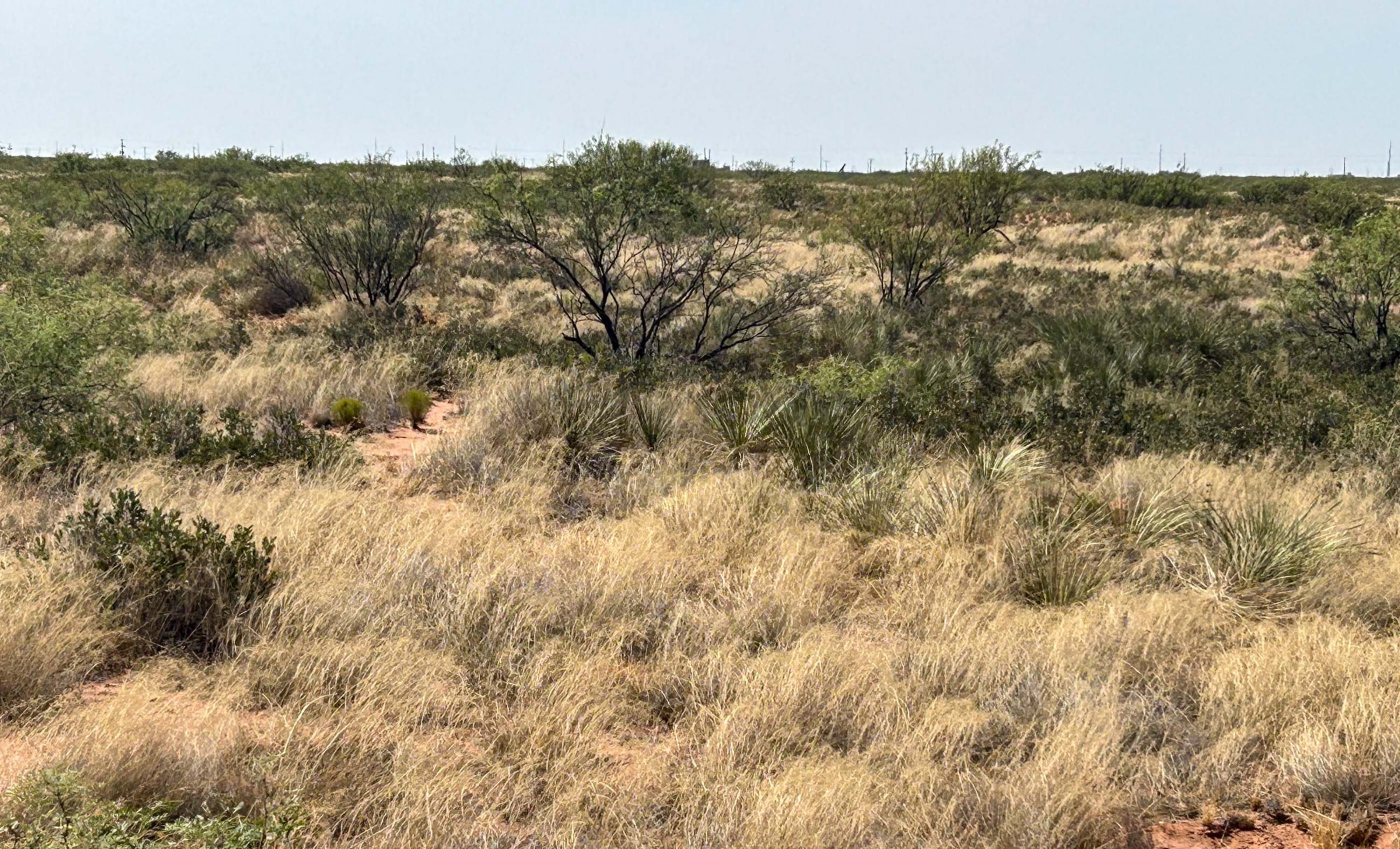DASCO Cattle Company, LLC Ranch property photograph 26