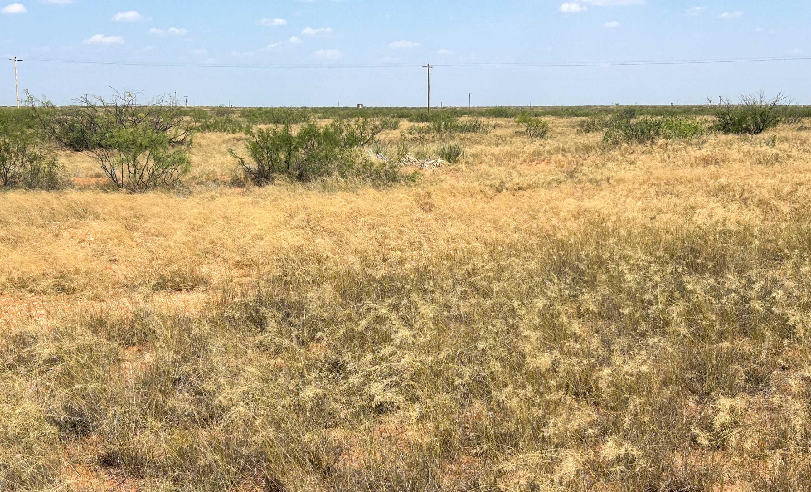 DASCO Cattle Company, LLC Ranch property photograph 27
