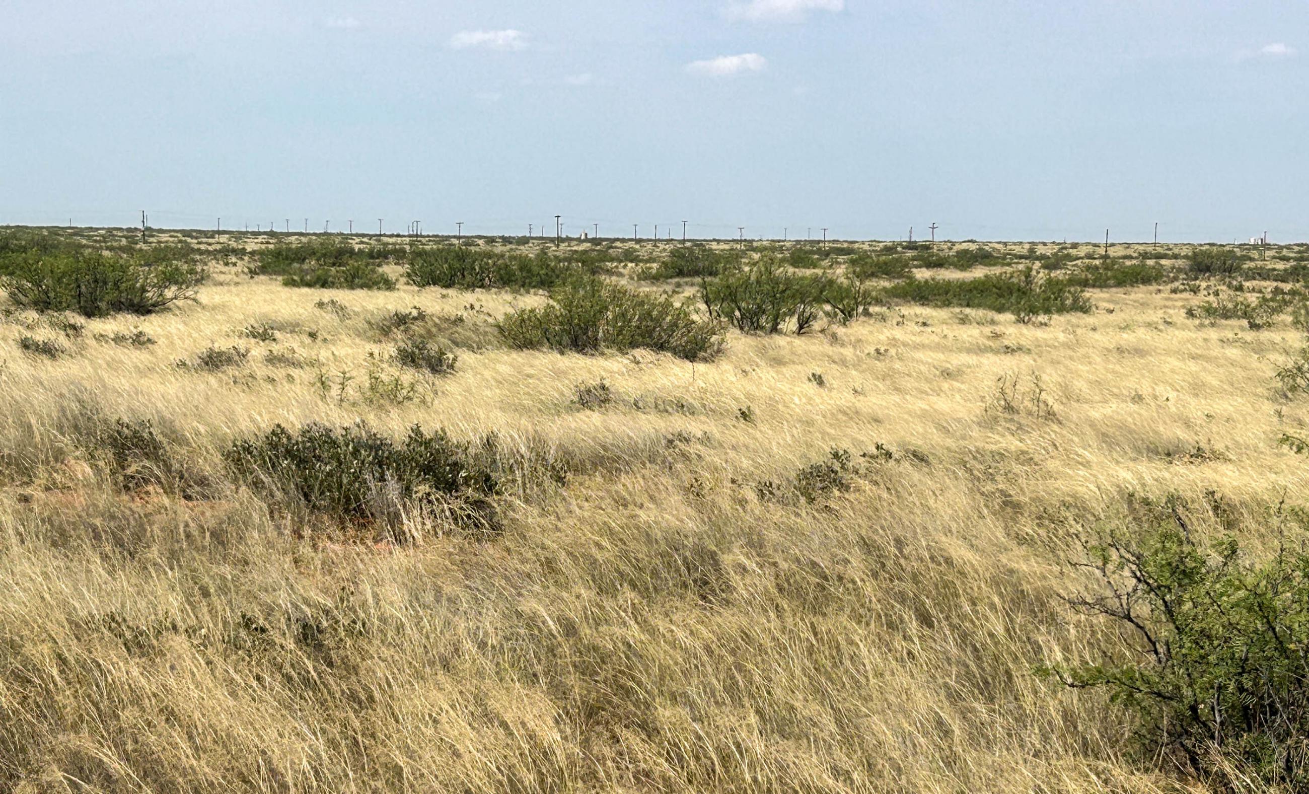 DASCO Cattle Company, LLC Ranch ranch landscape