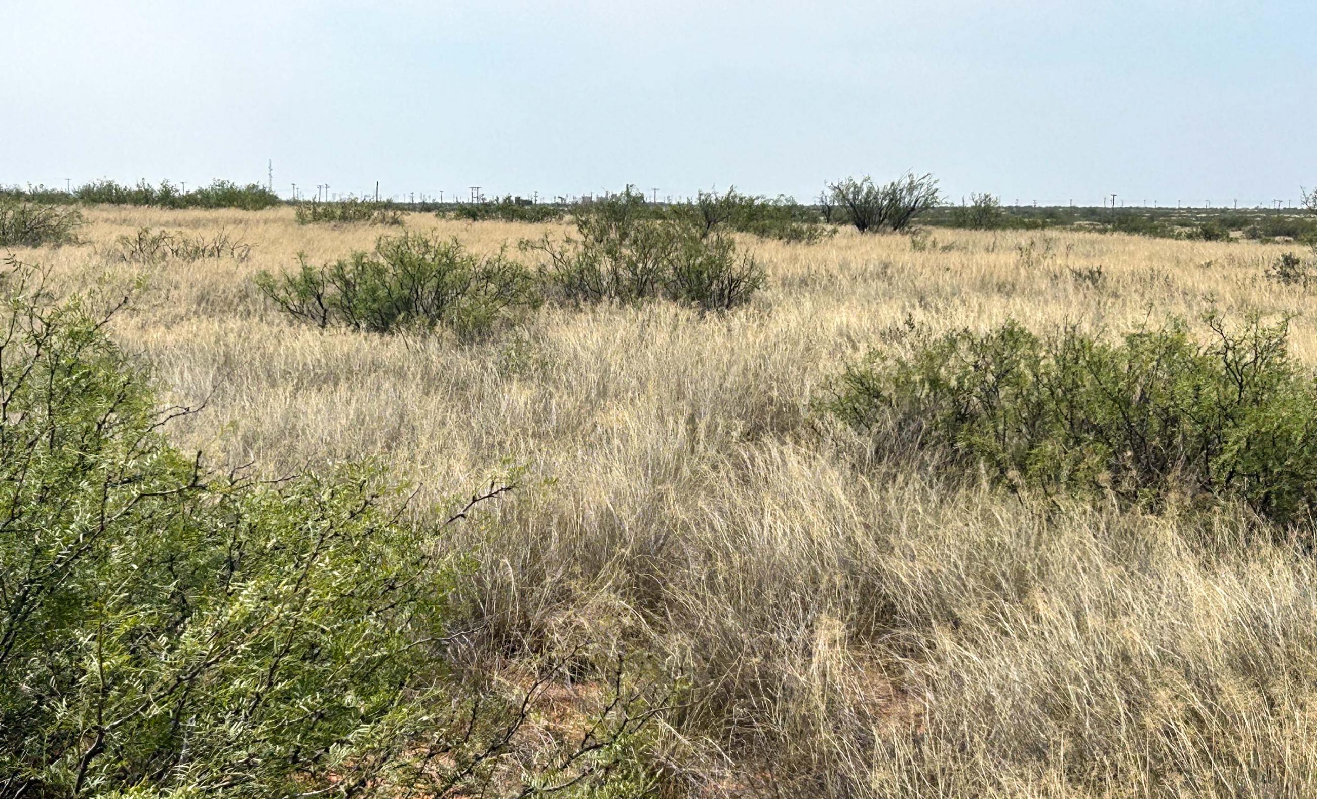 DASCO Cattle Company, LLC Ranch property photograph 2