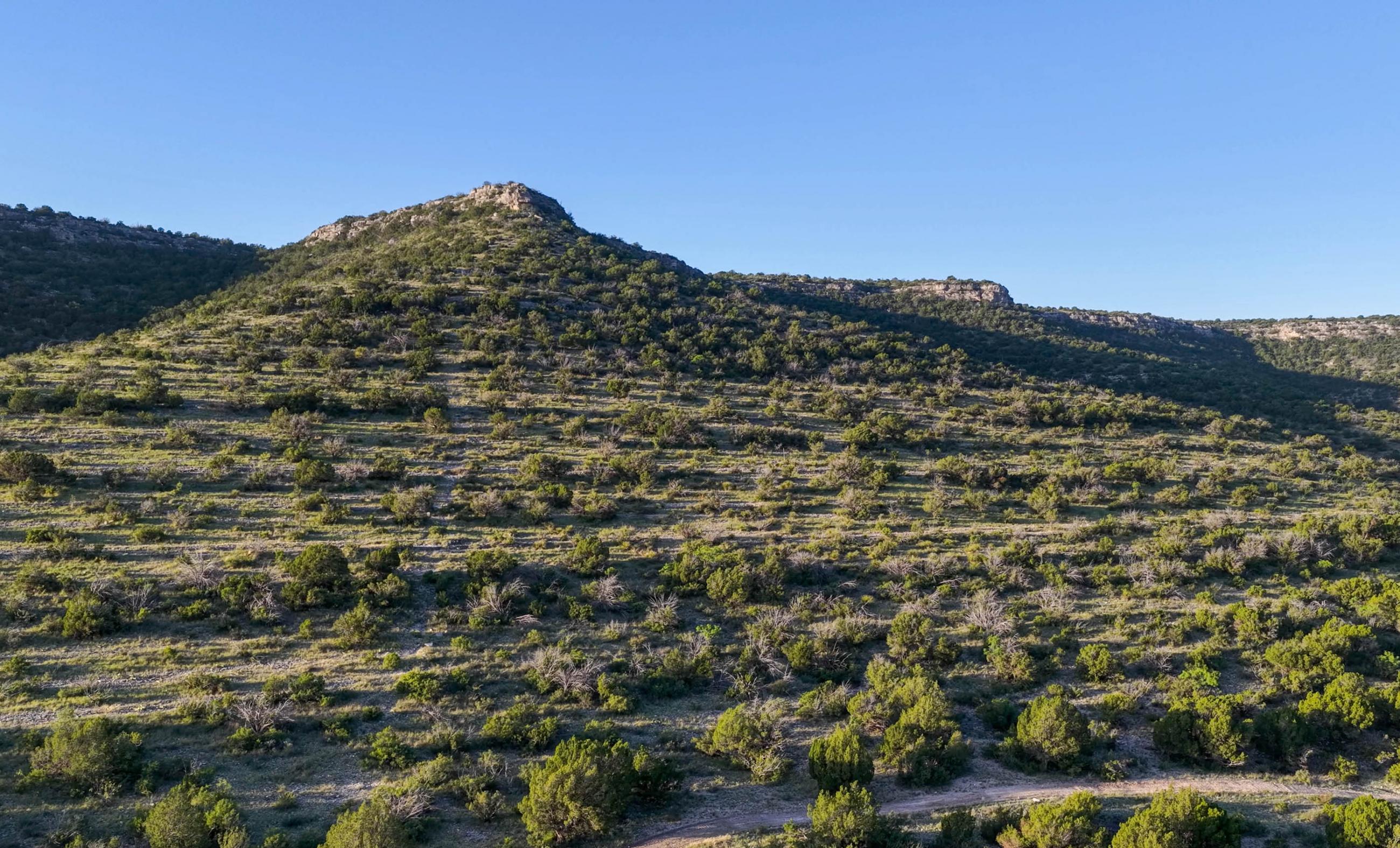 Dillard Pecos River Ranch property photograph 9