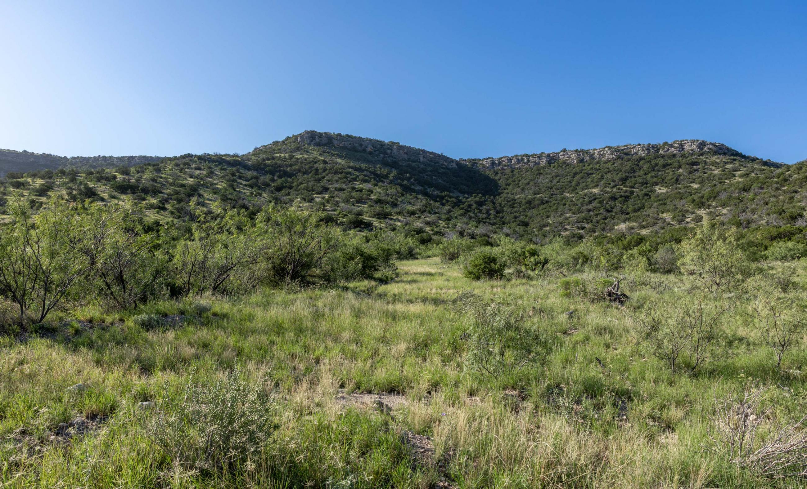 Dillard Pecos River Ranch property photograph 6