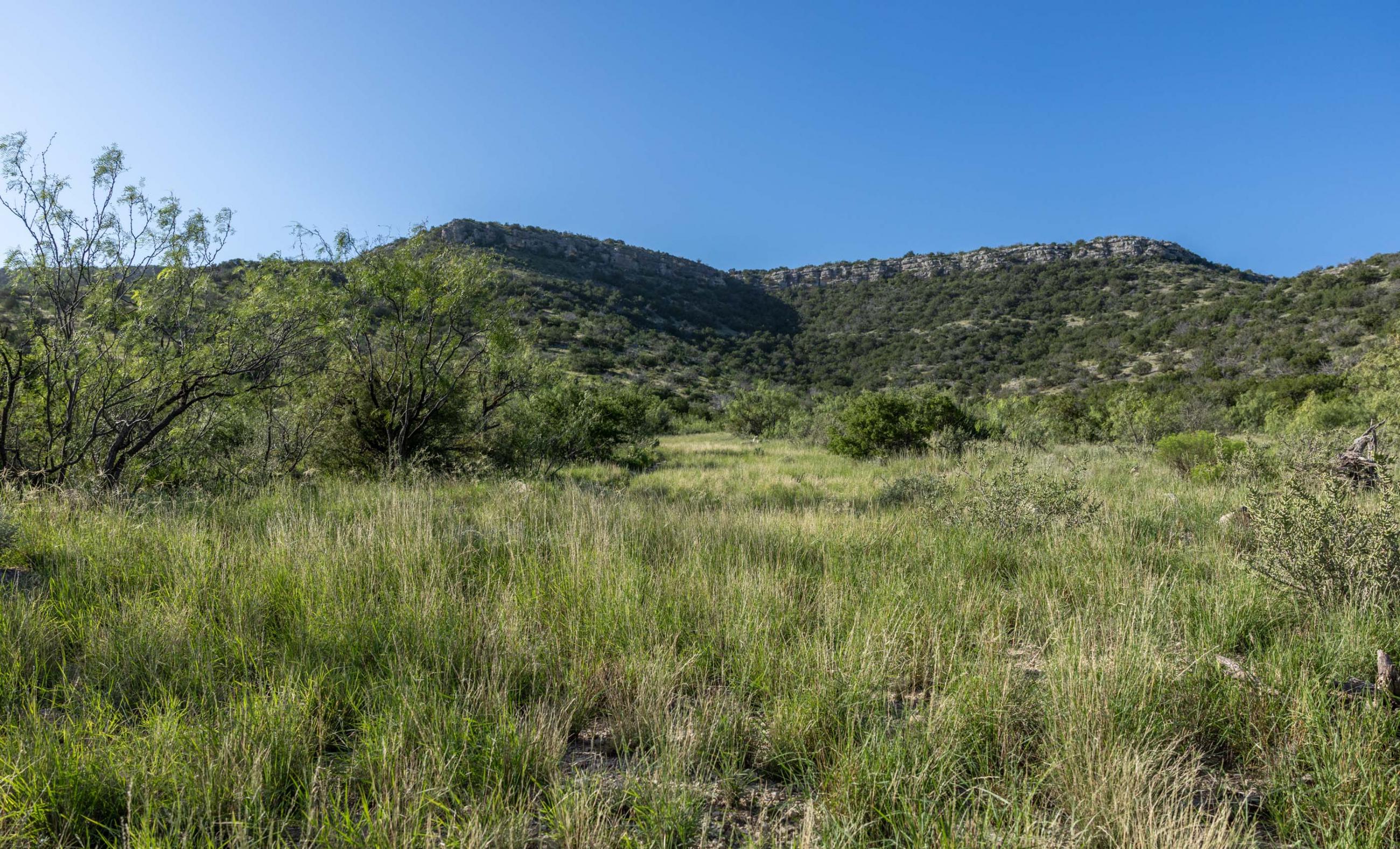 Dillard Pecos River Ranch property photograph 45