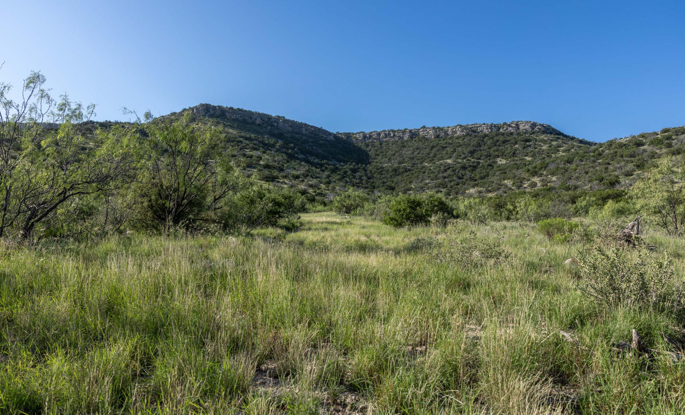 Dillard Pecos River Ranch property photograph 30