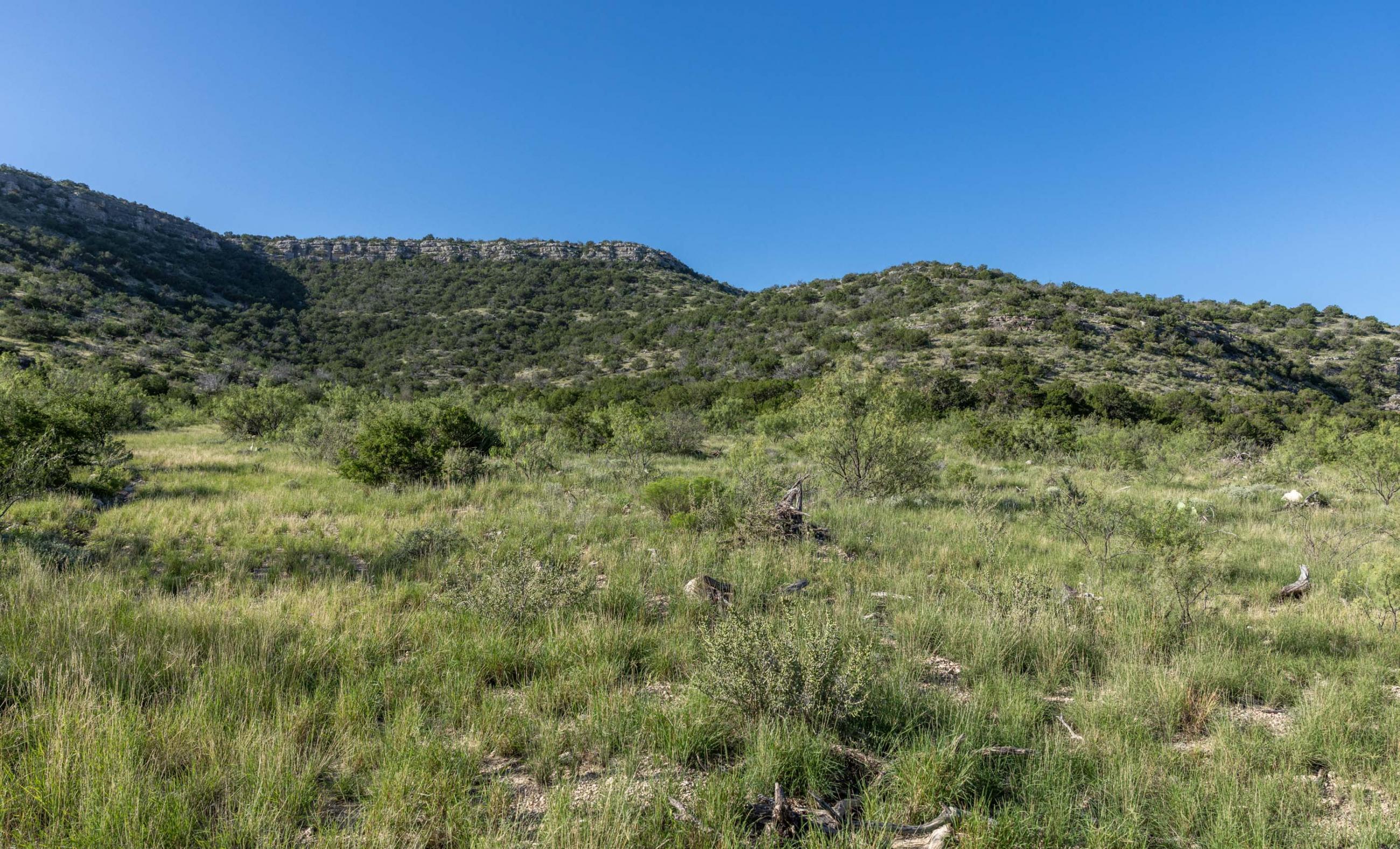 Dillard Pecos River Ranch property photograph 37