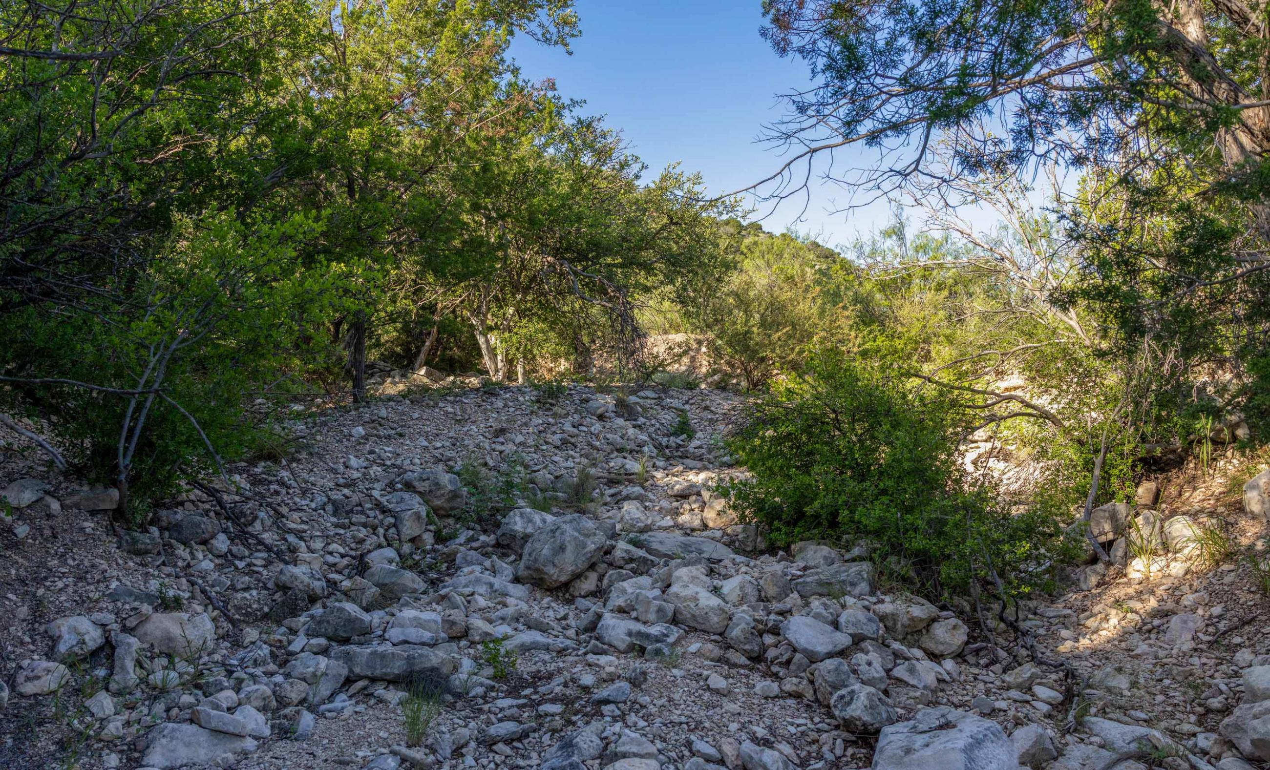 Dillard Pecos River Ranch property photograph 46