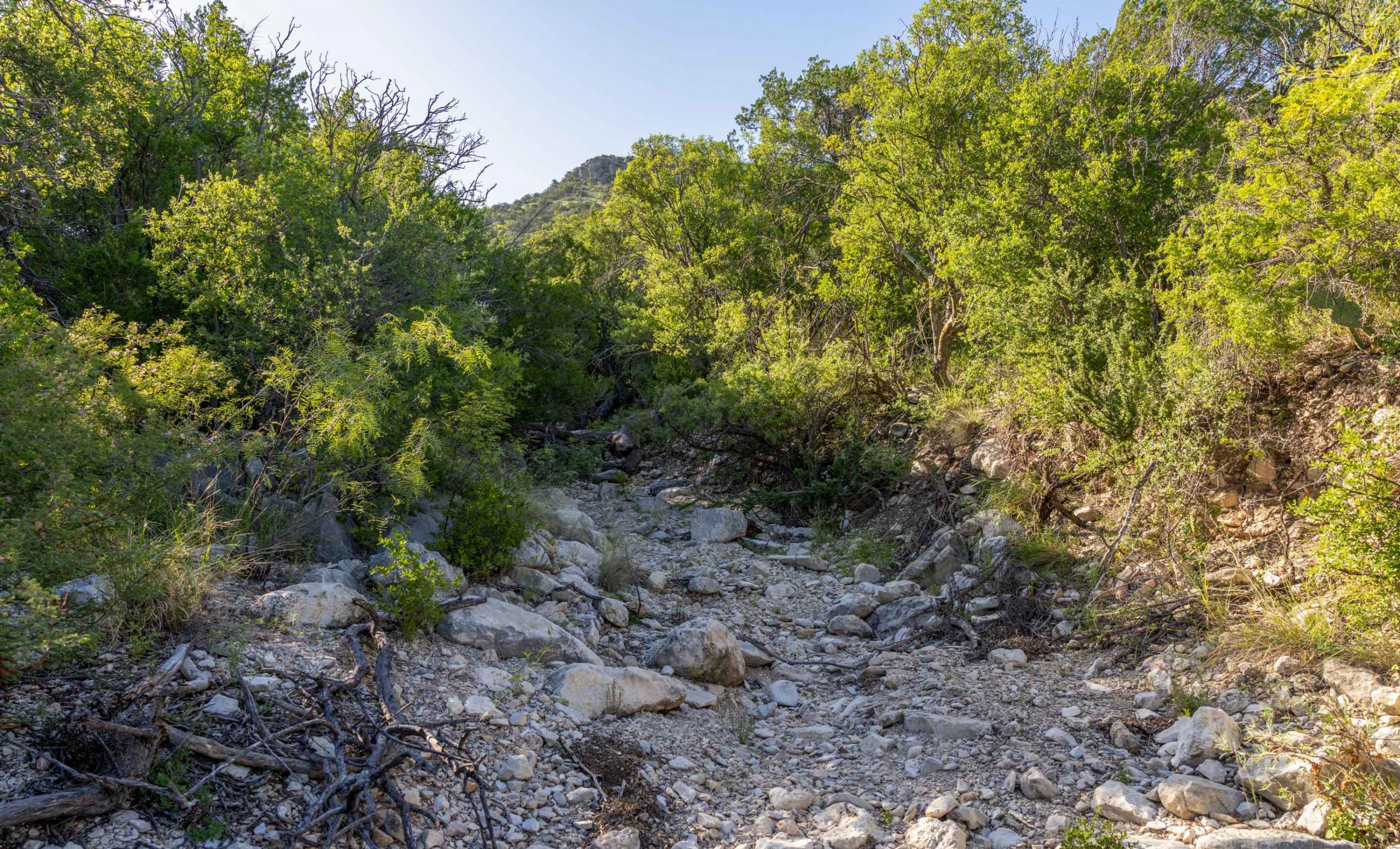 Dillard Pecos River Ranch property photograph 32