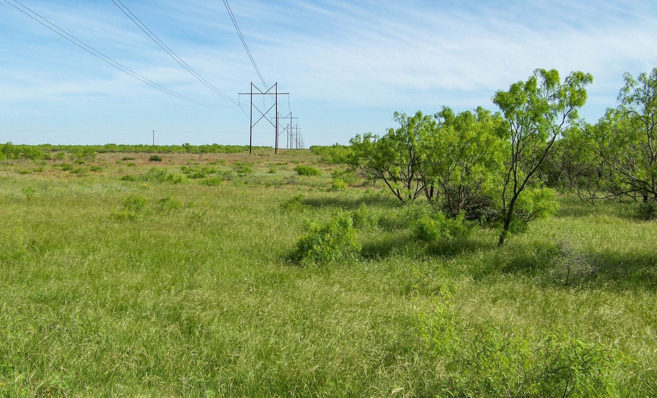 Gold Creek Ranch property photograph 11