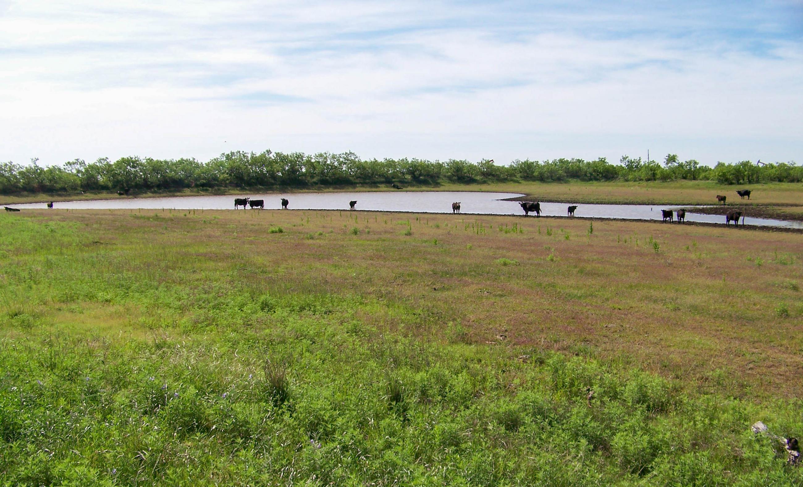 Gold Creek Ranch property photograph 14