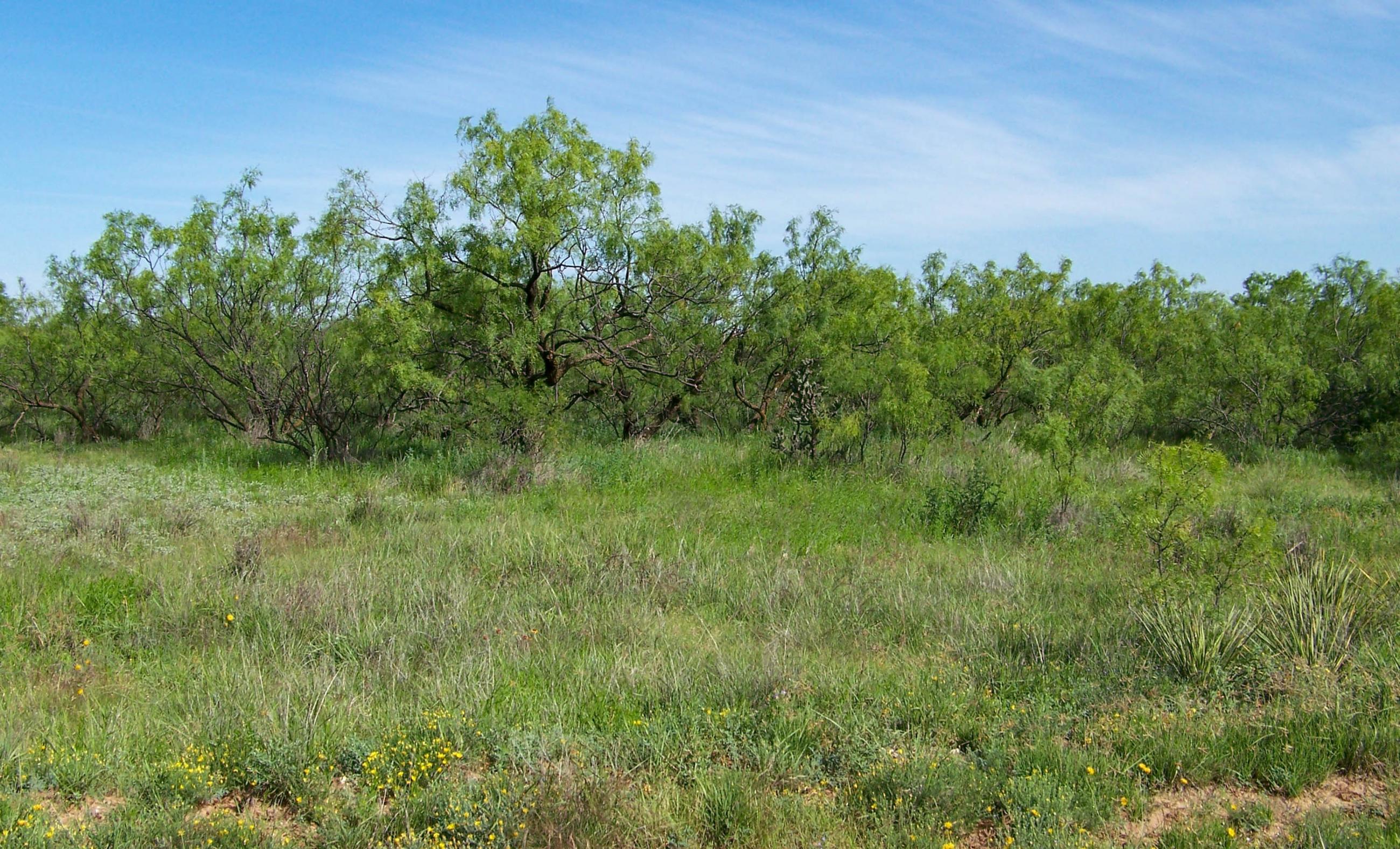 Gold Creek Ranch property photograph 43
