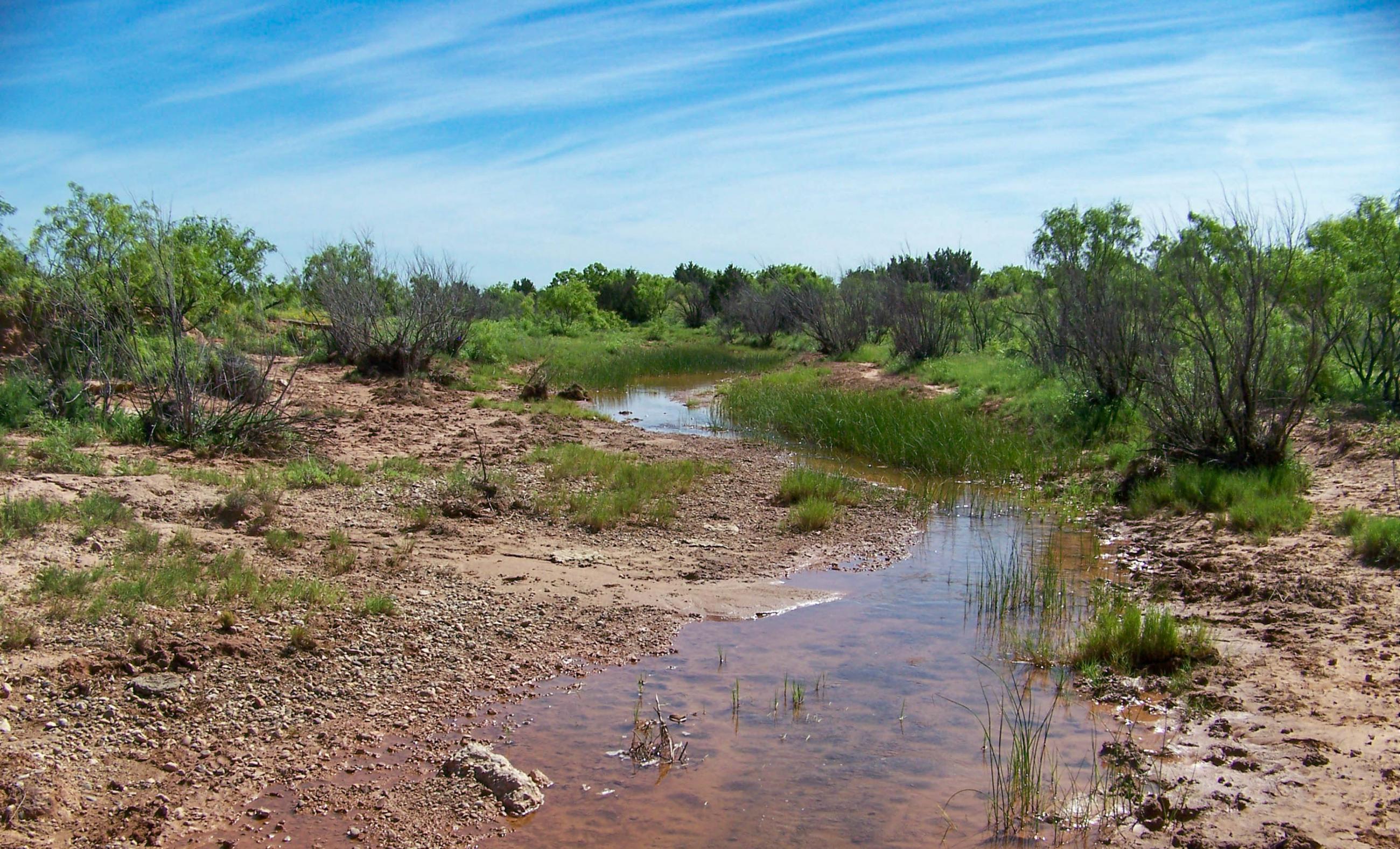 Gold Creek Ranch property photograph 18