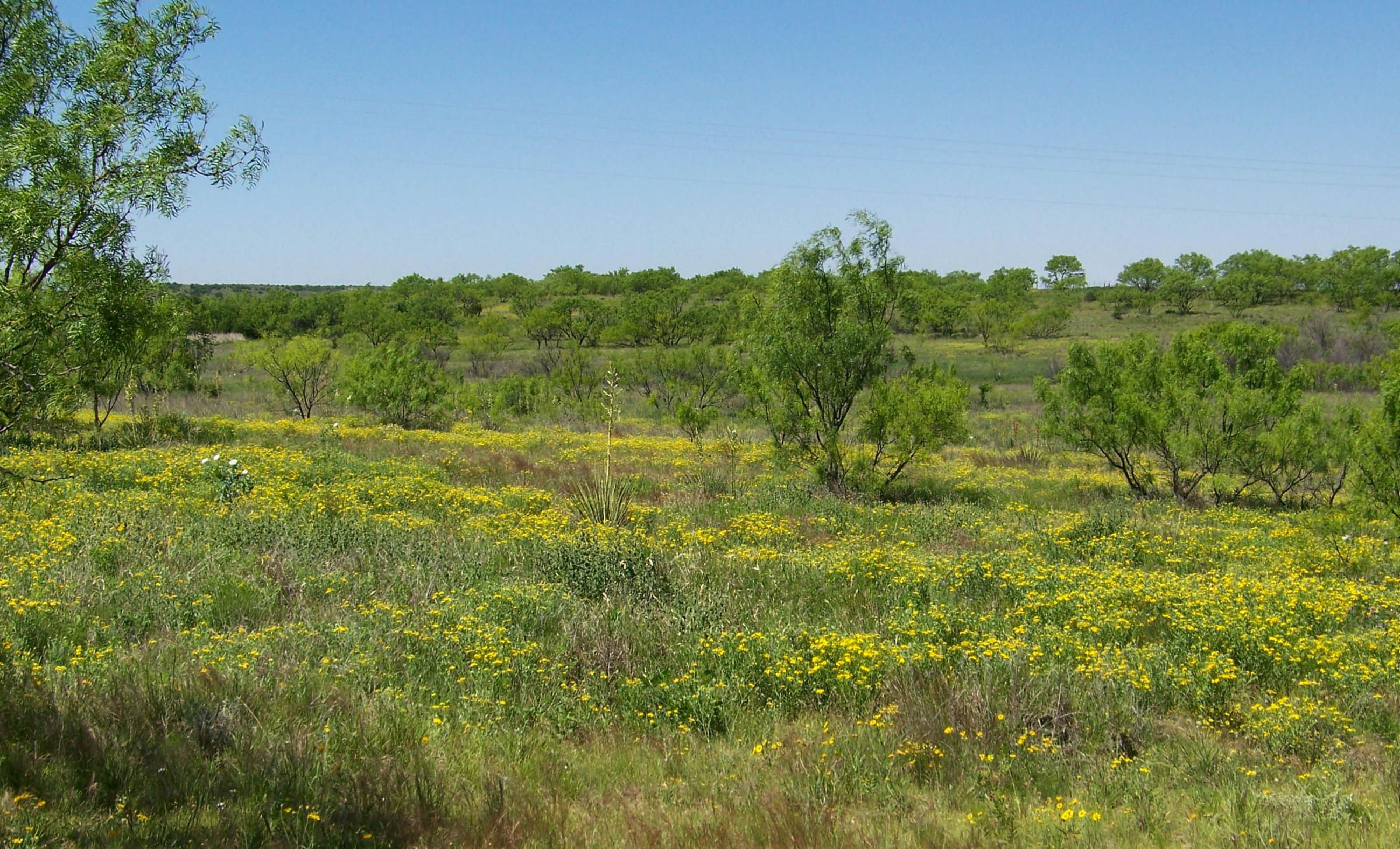 Gold Creek Ranch property photograph 44