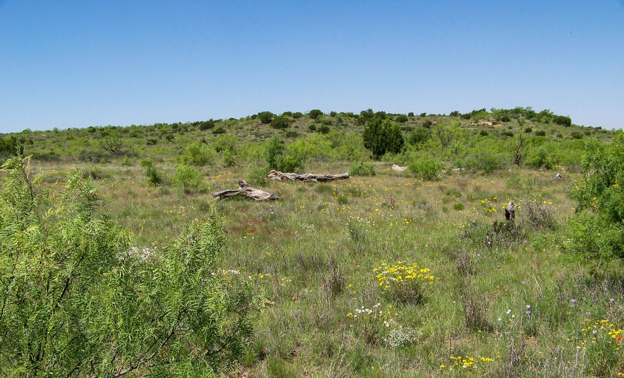 Gold Creek Ranch property photograph 7