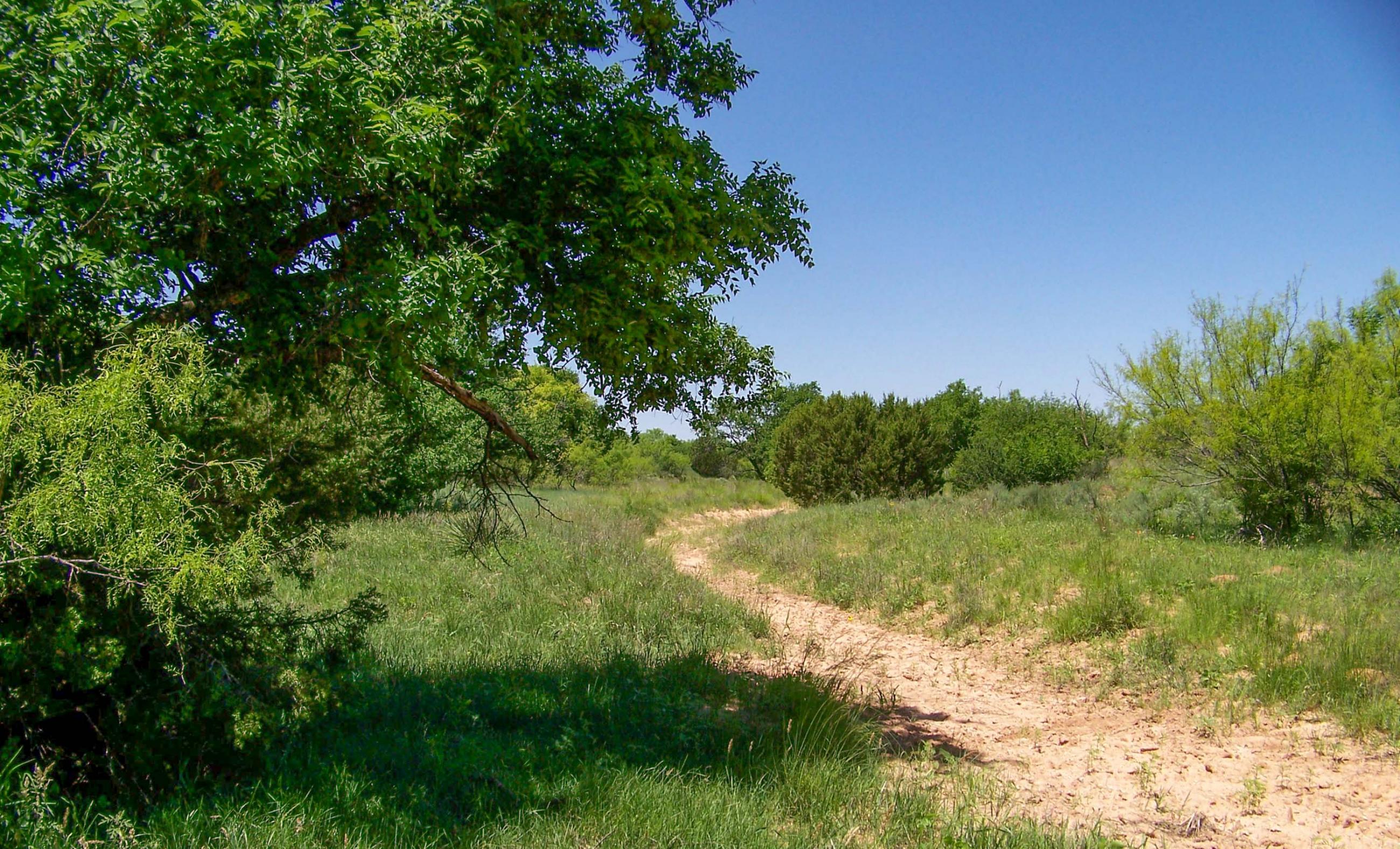 Gold Creek Ranch property photograph 13
