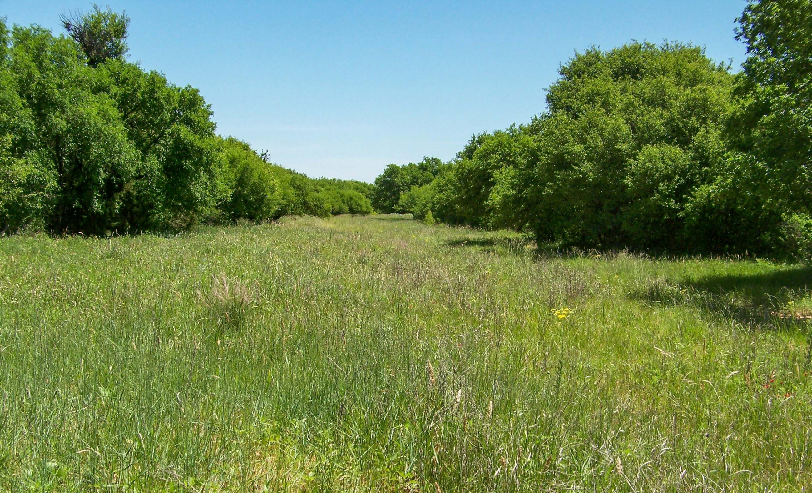 Gold Creek Ranch property photograph 26