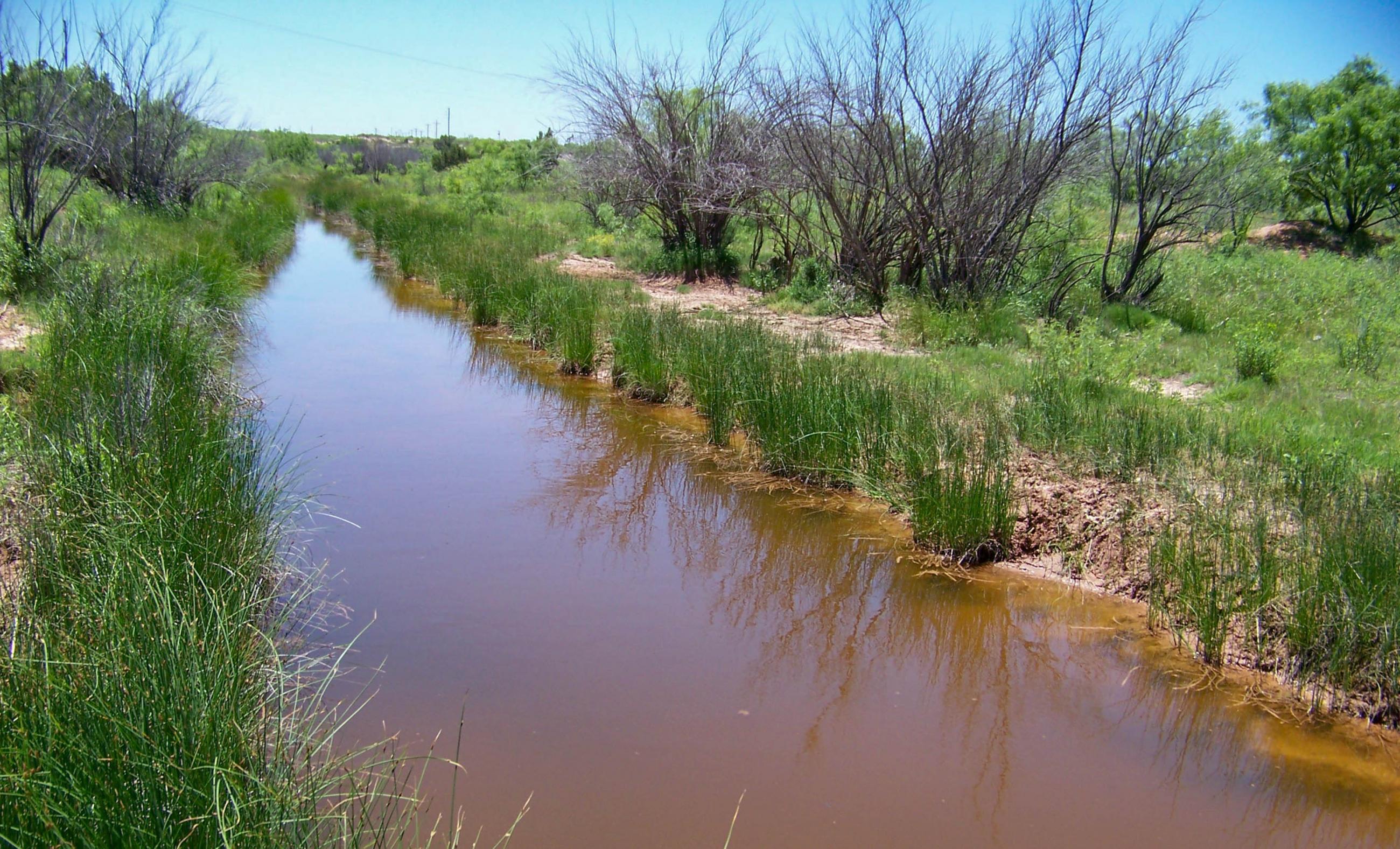 Gold Creek Ranch property photograph 10