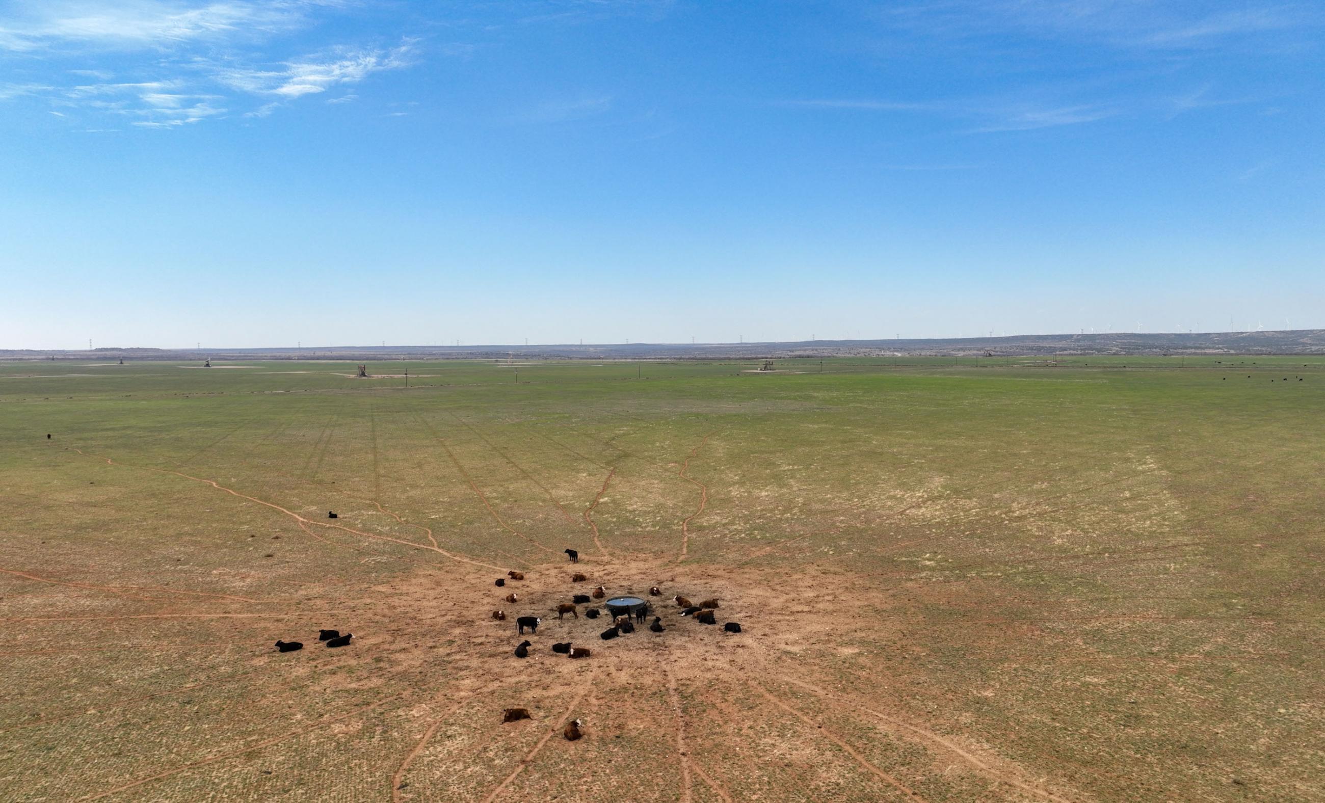 Gold Creek Ranch property photograph 23