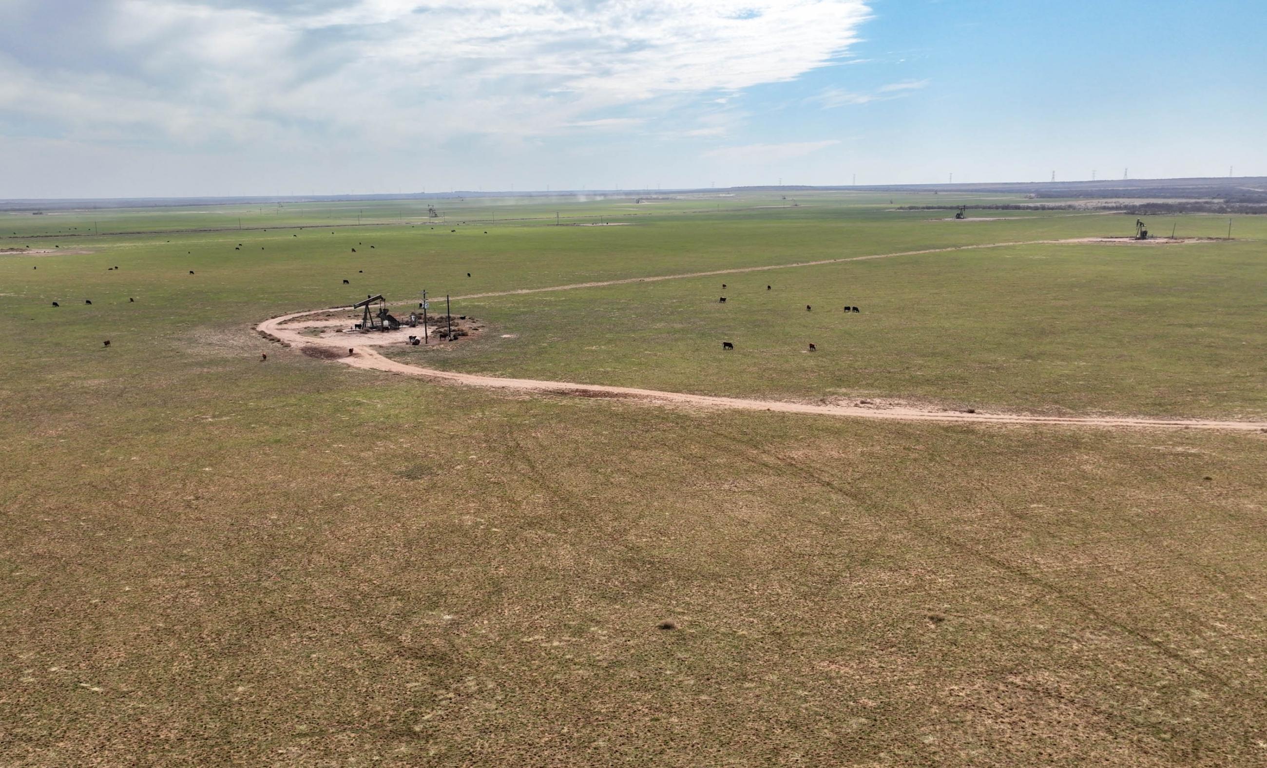 Gold Creek Ranch property photograph 12