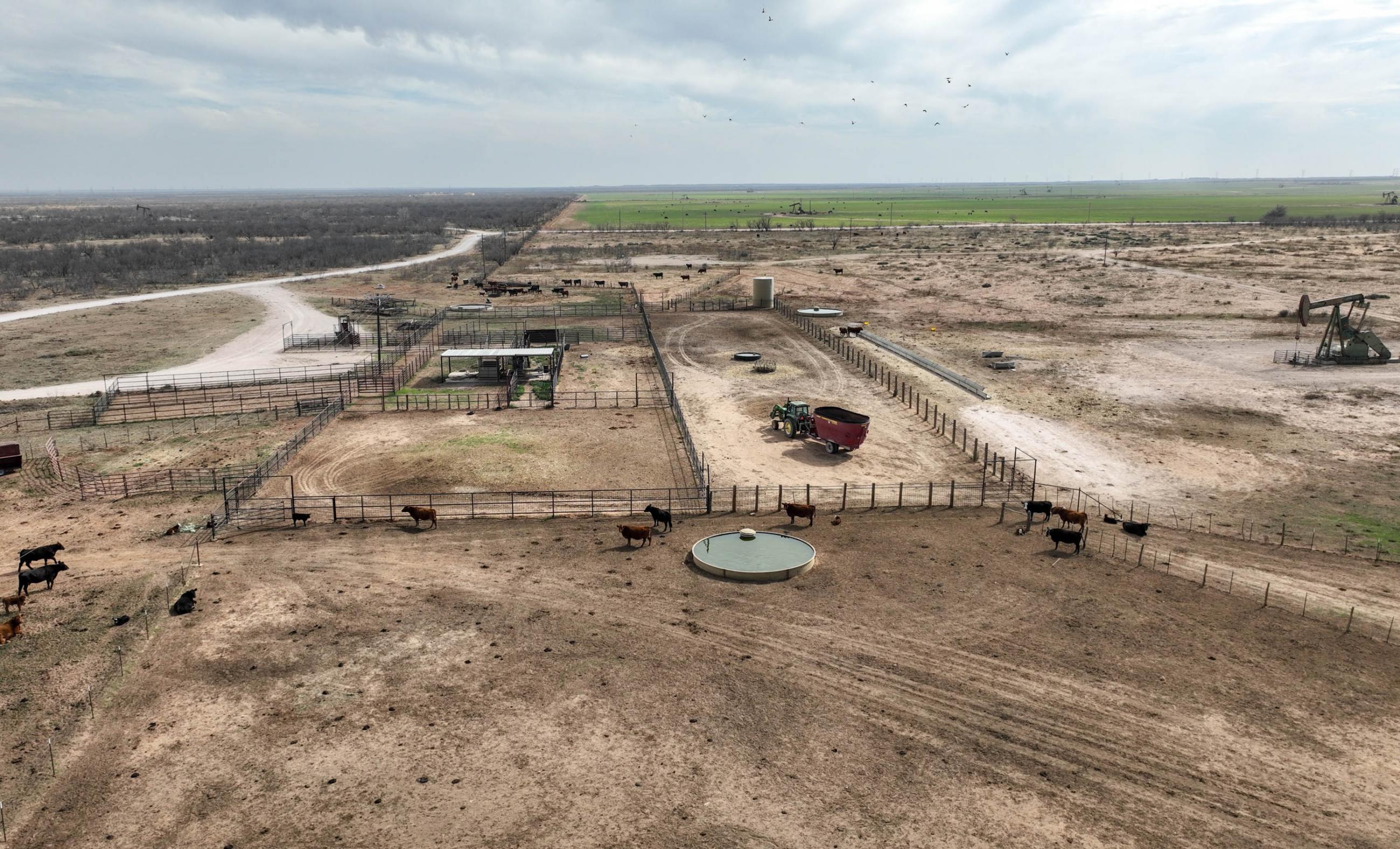 Gold Creek Ranch property photograph 20