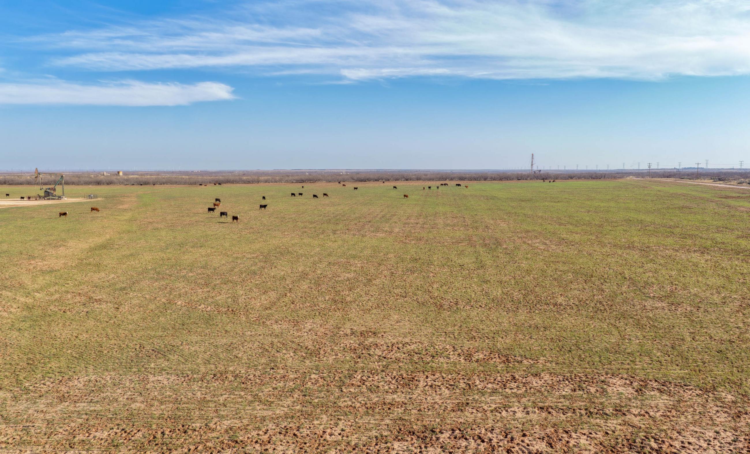 Gold Creek Ranch property photograph 21