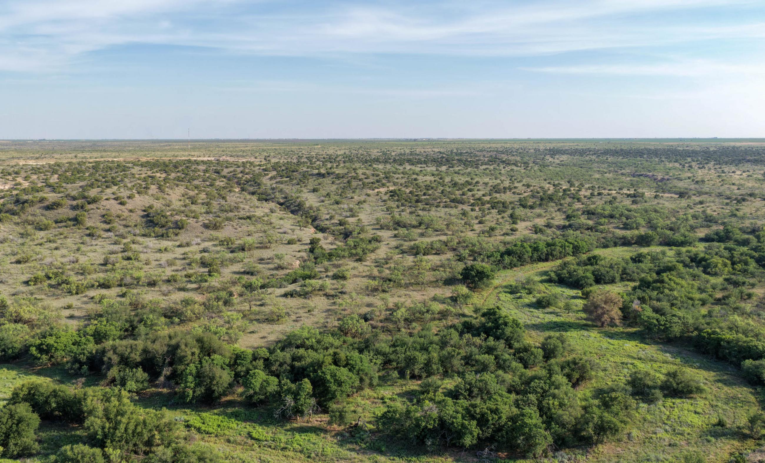 Gold Creek Ranch property photograph 17