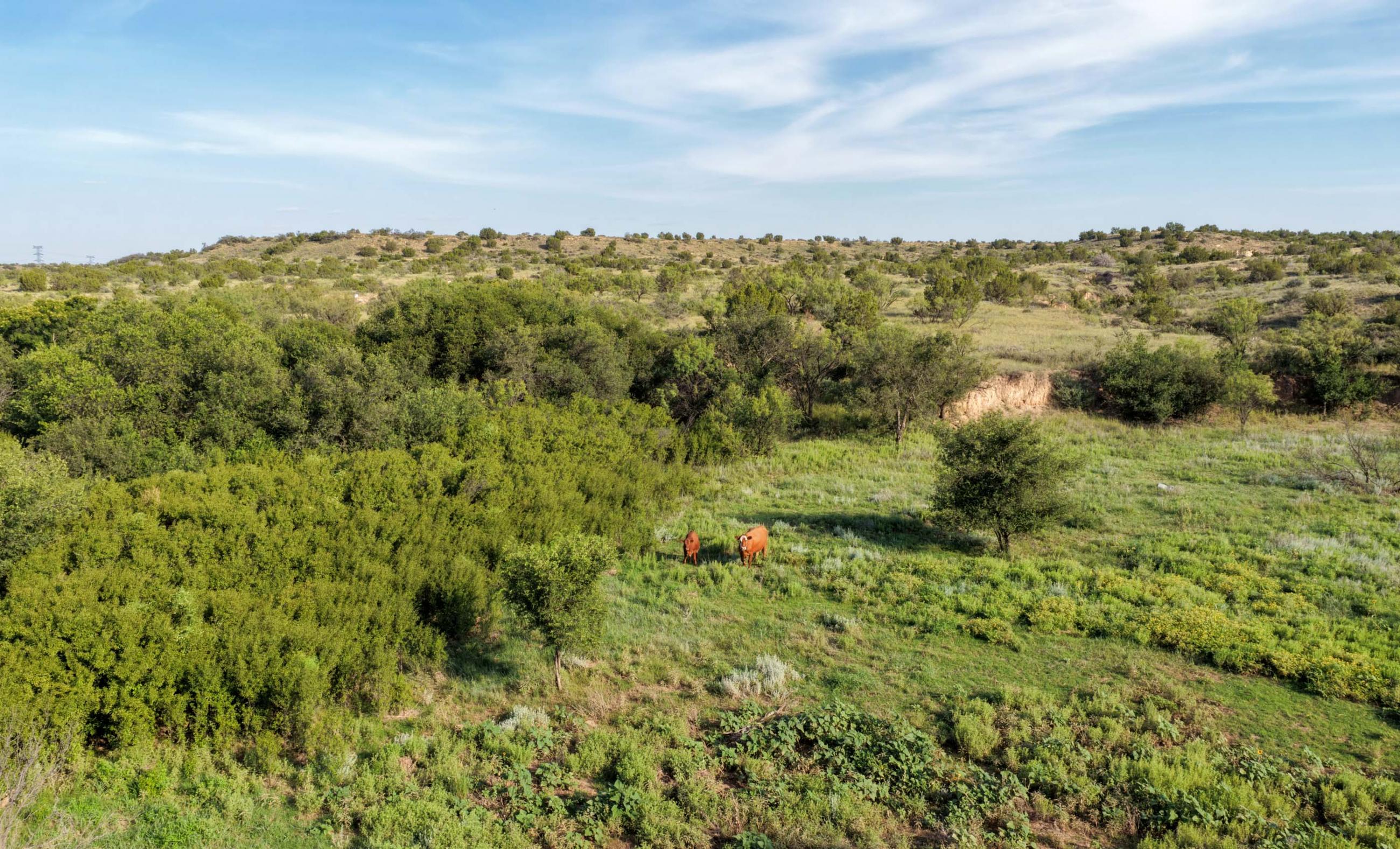 Gold Creek Ranch property photograph 8