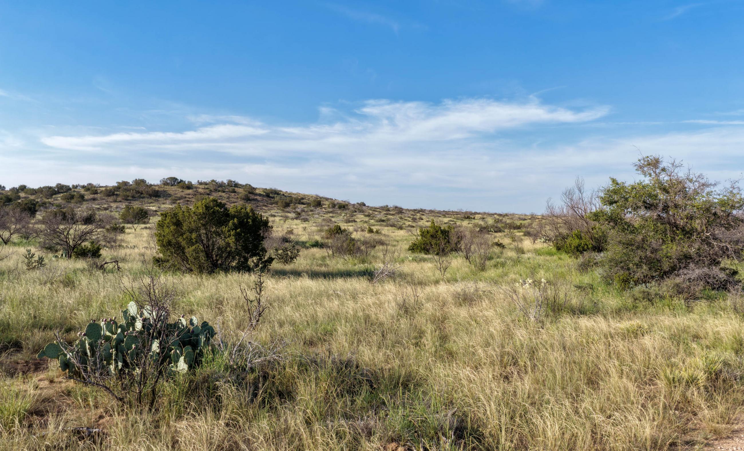 Gold Creek Ranch property photograph 1