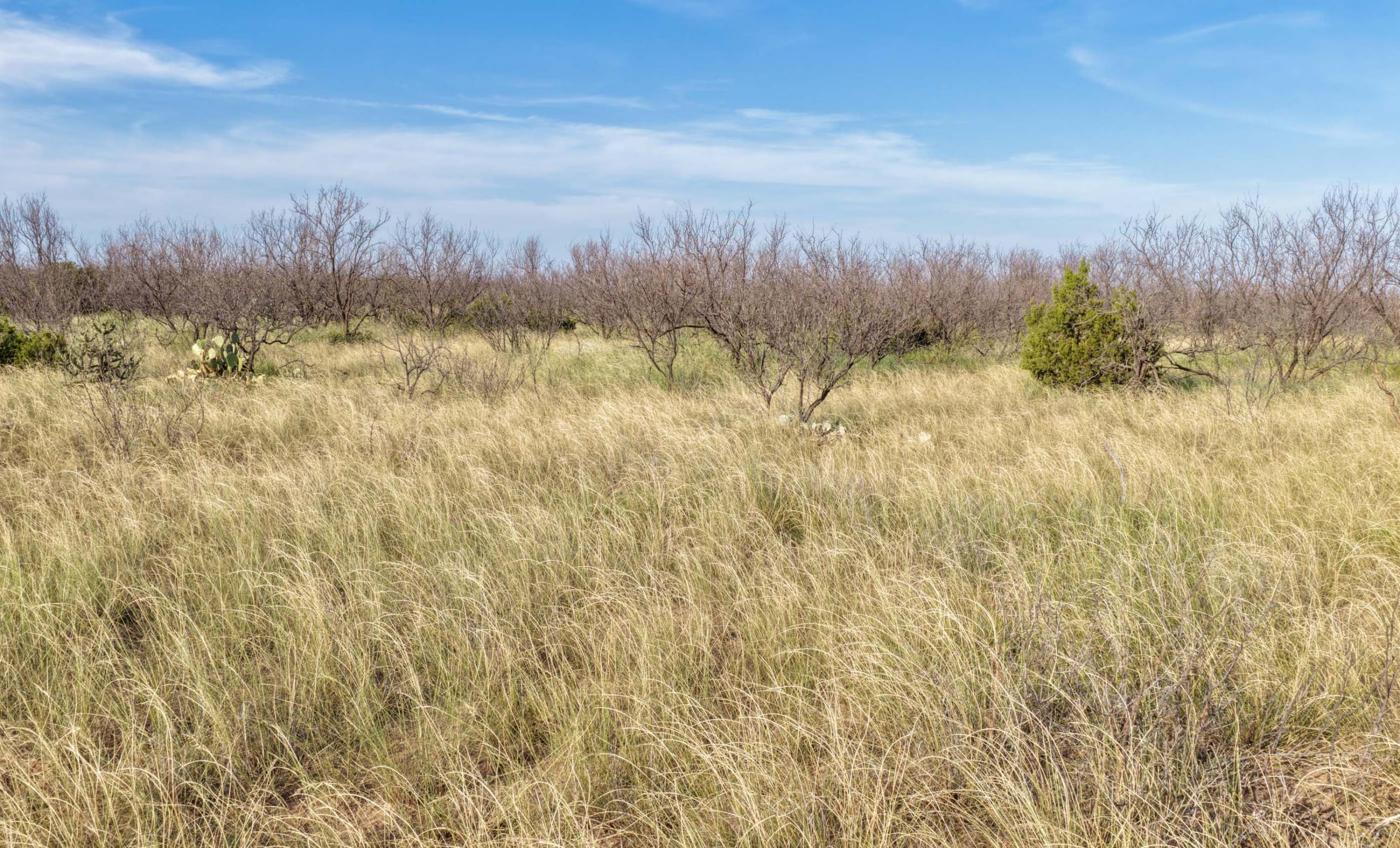 Gold Creek Ranch property photograph 30