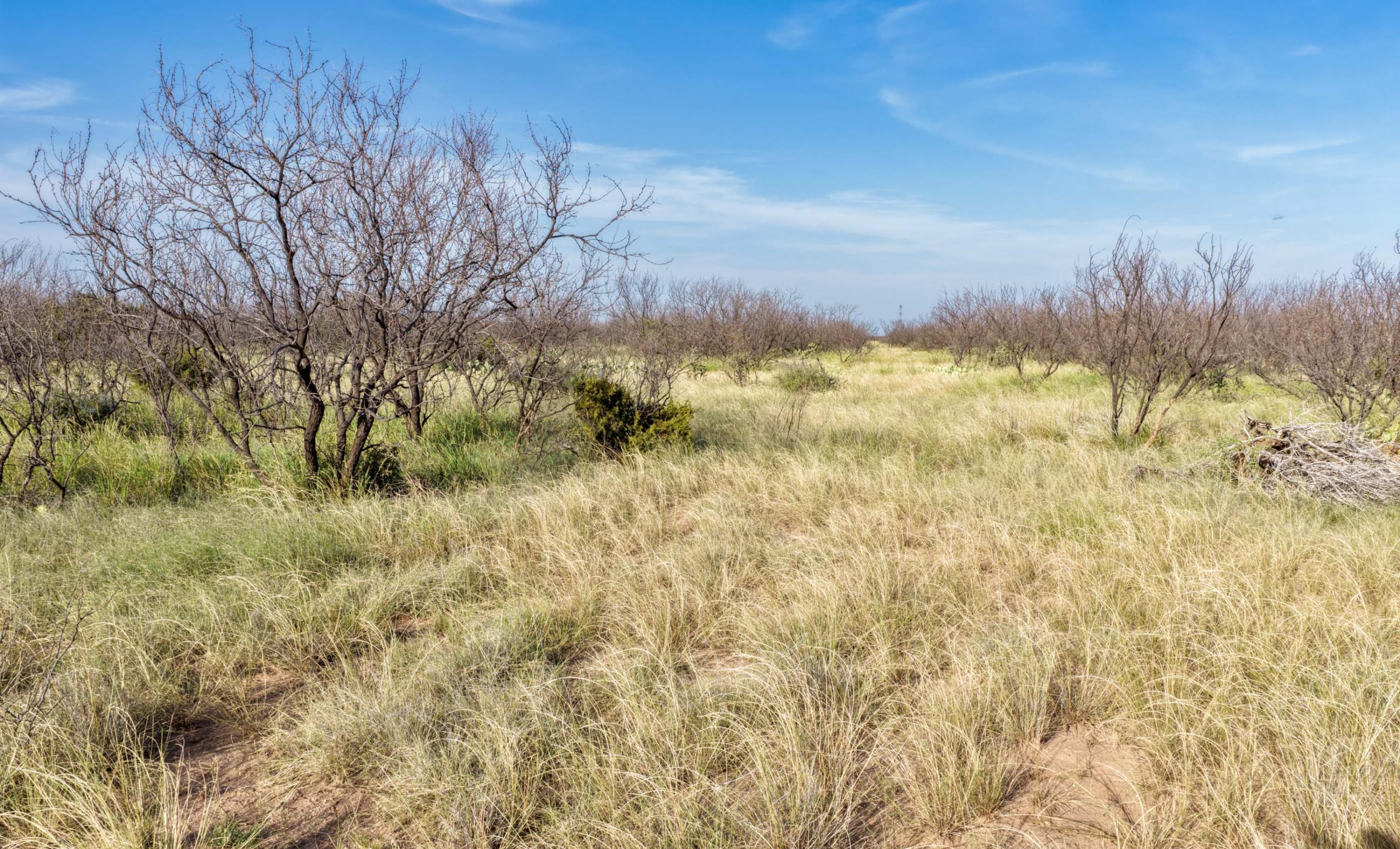 Gold Creek Ranch property photograph 27