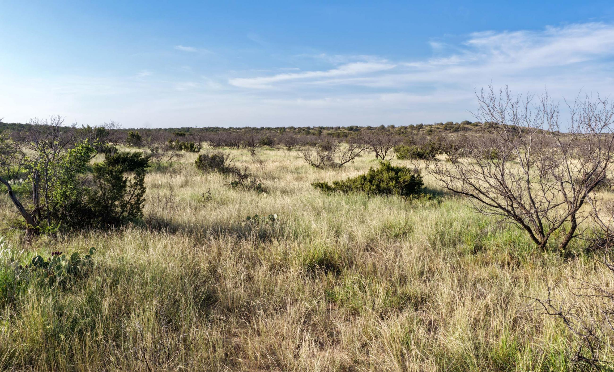 Gold Creek Ranch property photograph 46