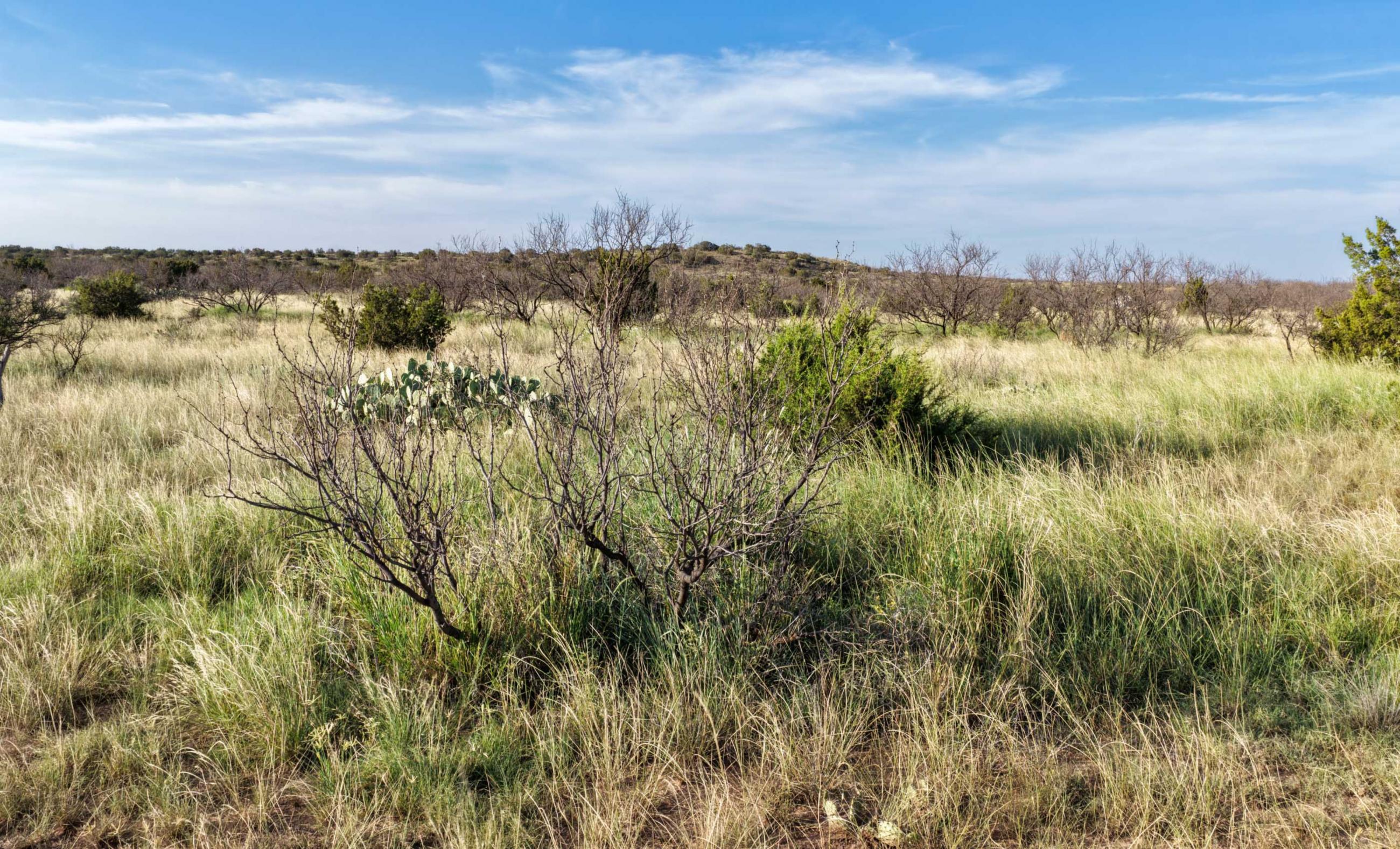 Gold Creek Ranch property photograph 15