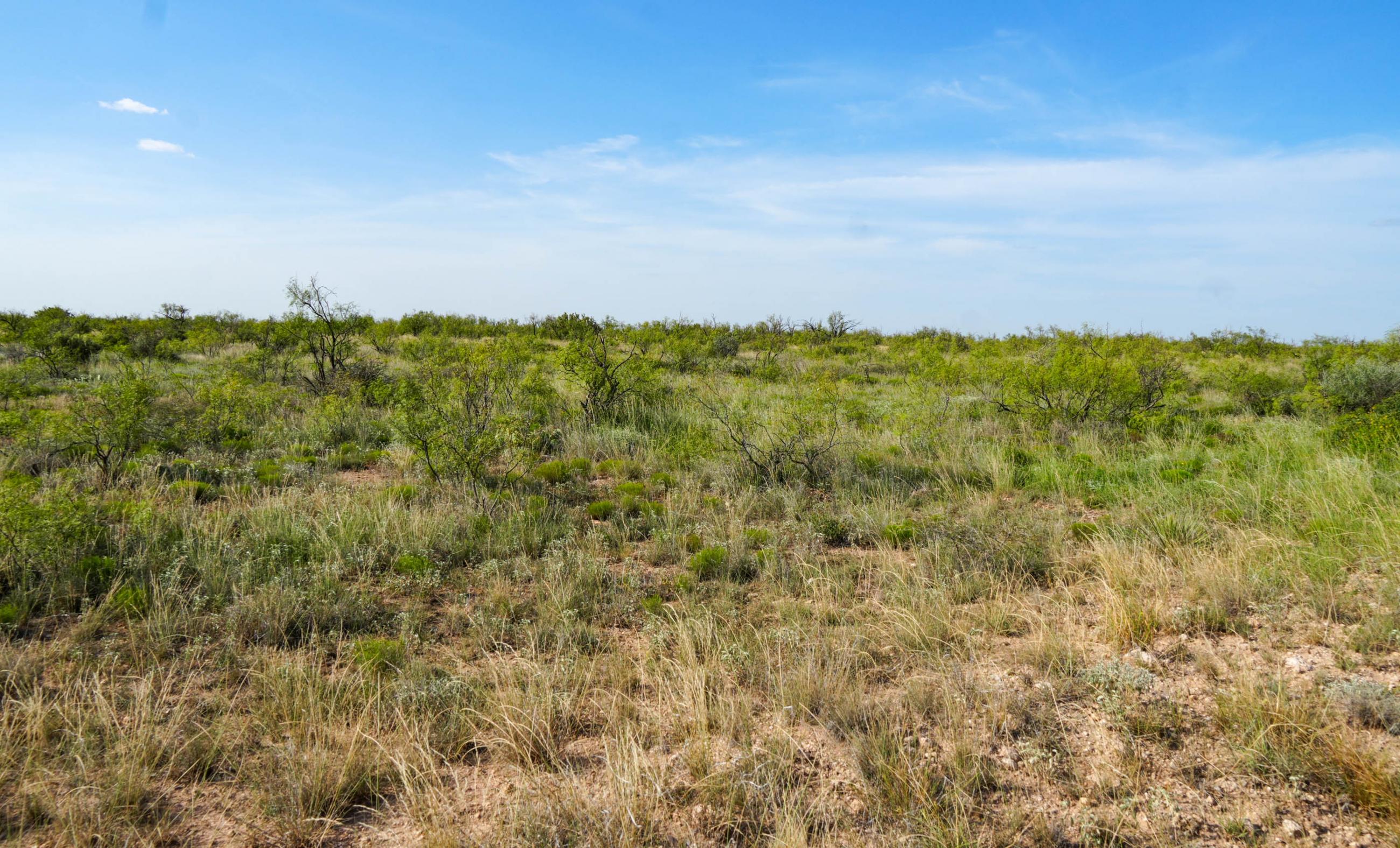 Gold Creek Ranch property photograph 9