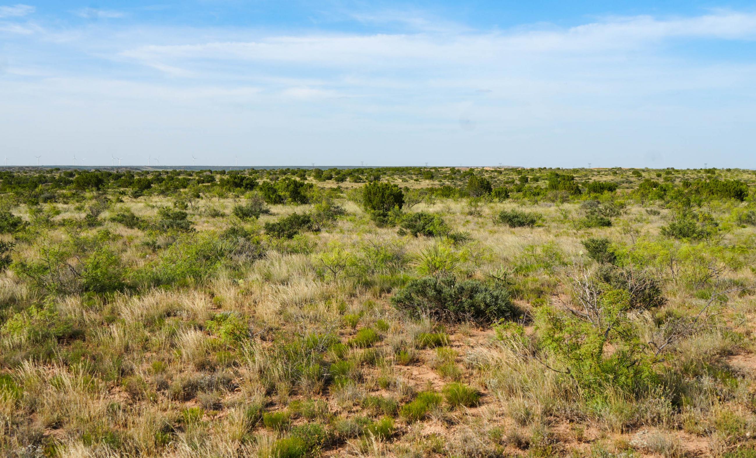 Gold Creek Ranch property photograph 2