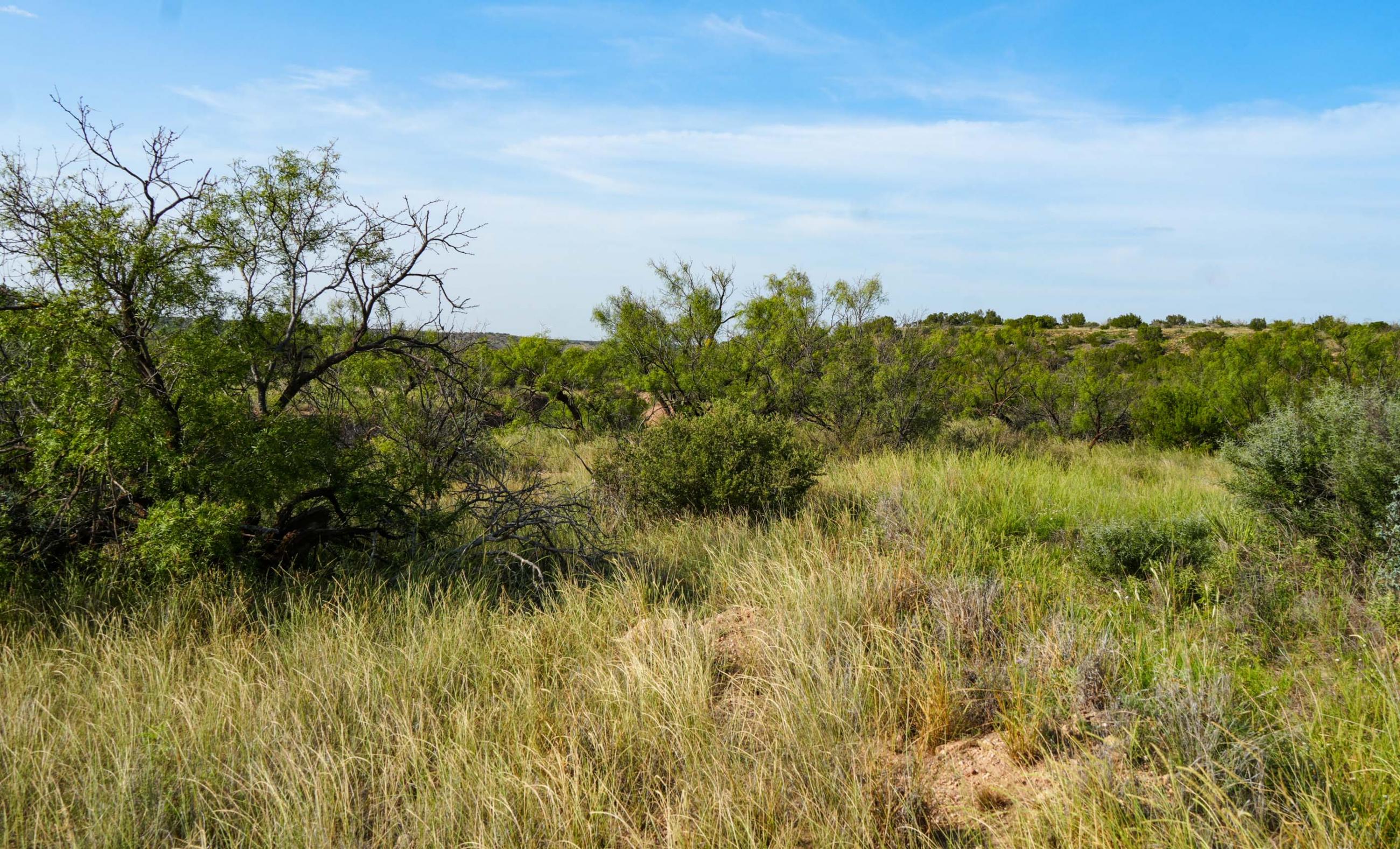 Gold Creek Ranch property photograph 24