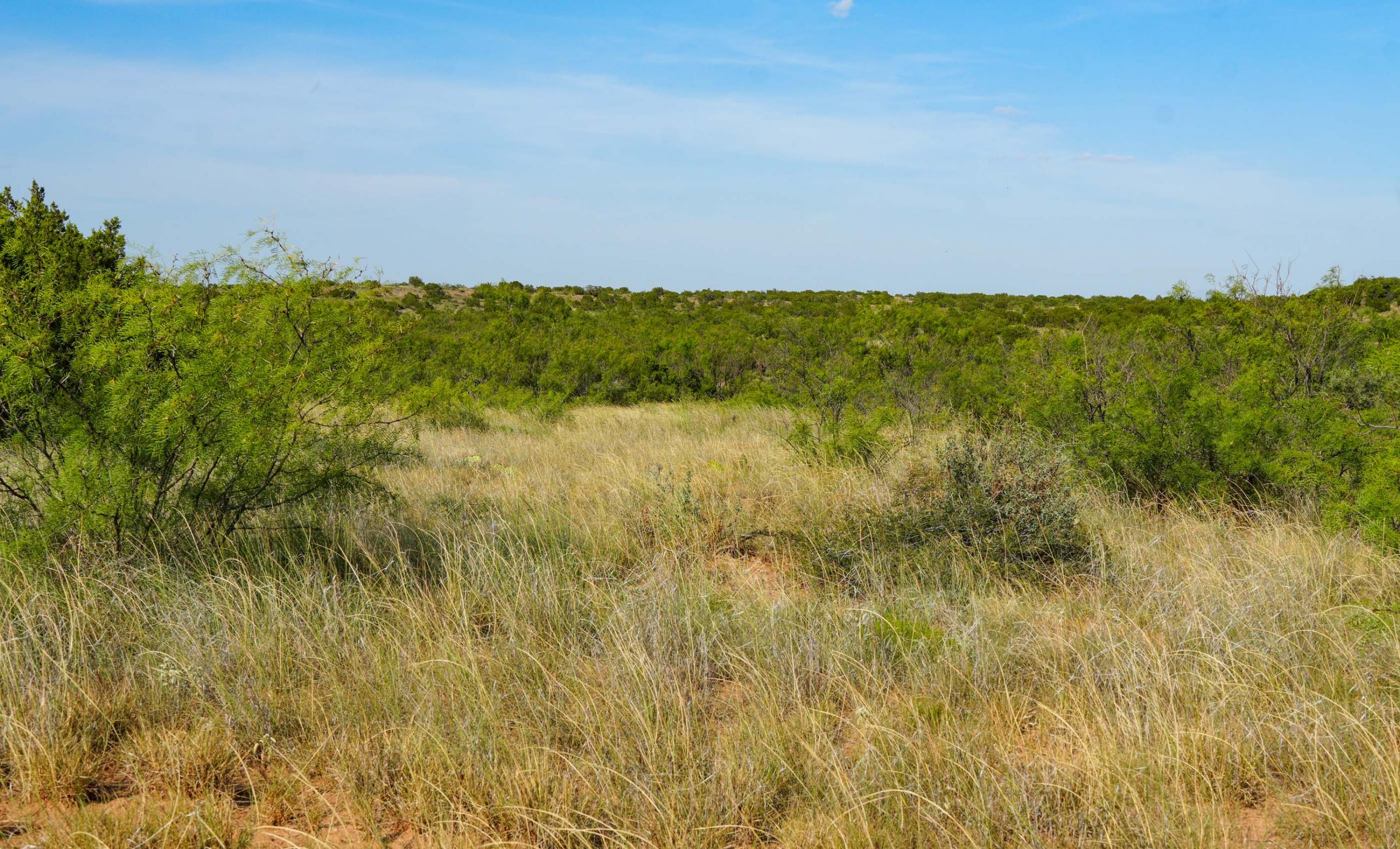 Gold Creek Ranch property photograph 28