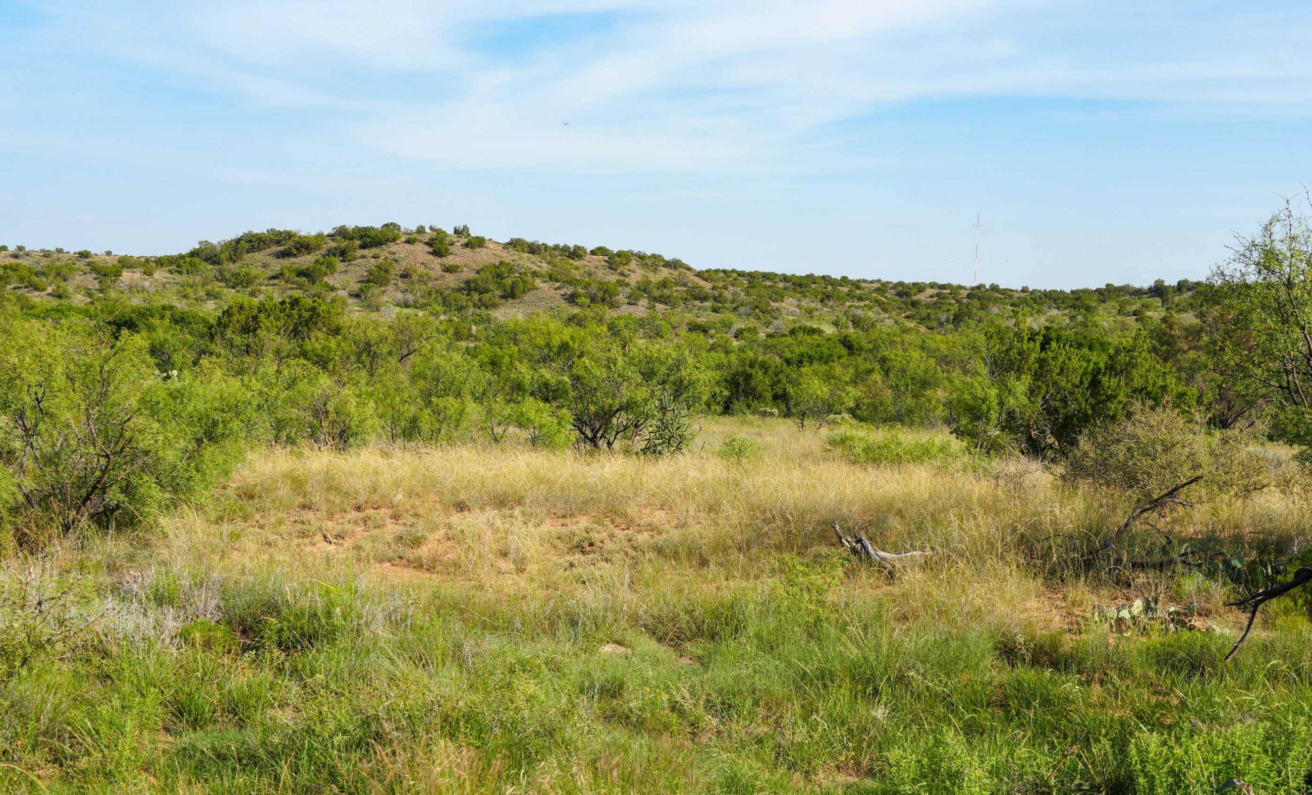 Gold Creek Ranch property photograph 25