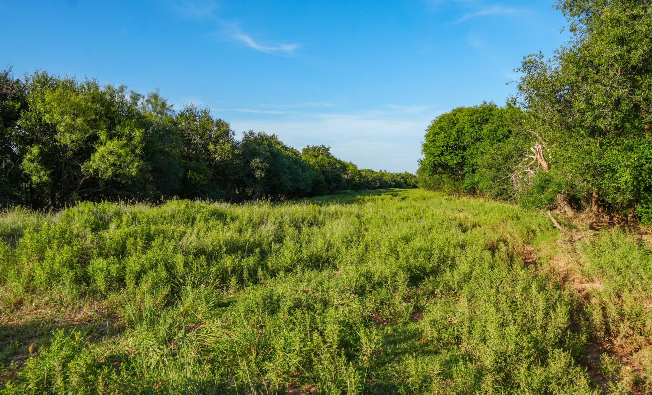 Gold Creek Ranch property photograph 33