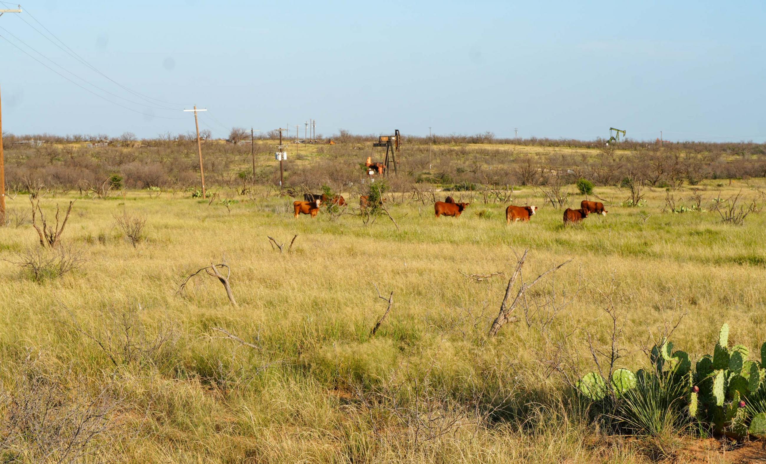 Gold Creek Ranch property photograph 29