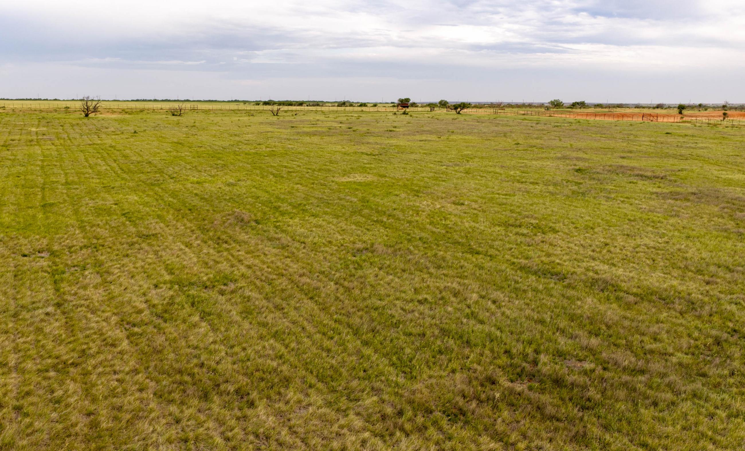 Homestead Genetics property photograph 8