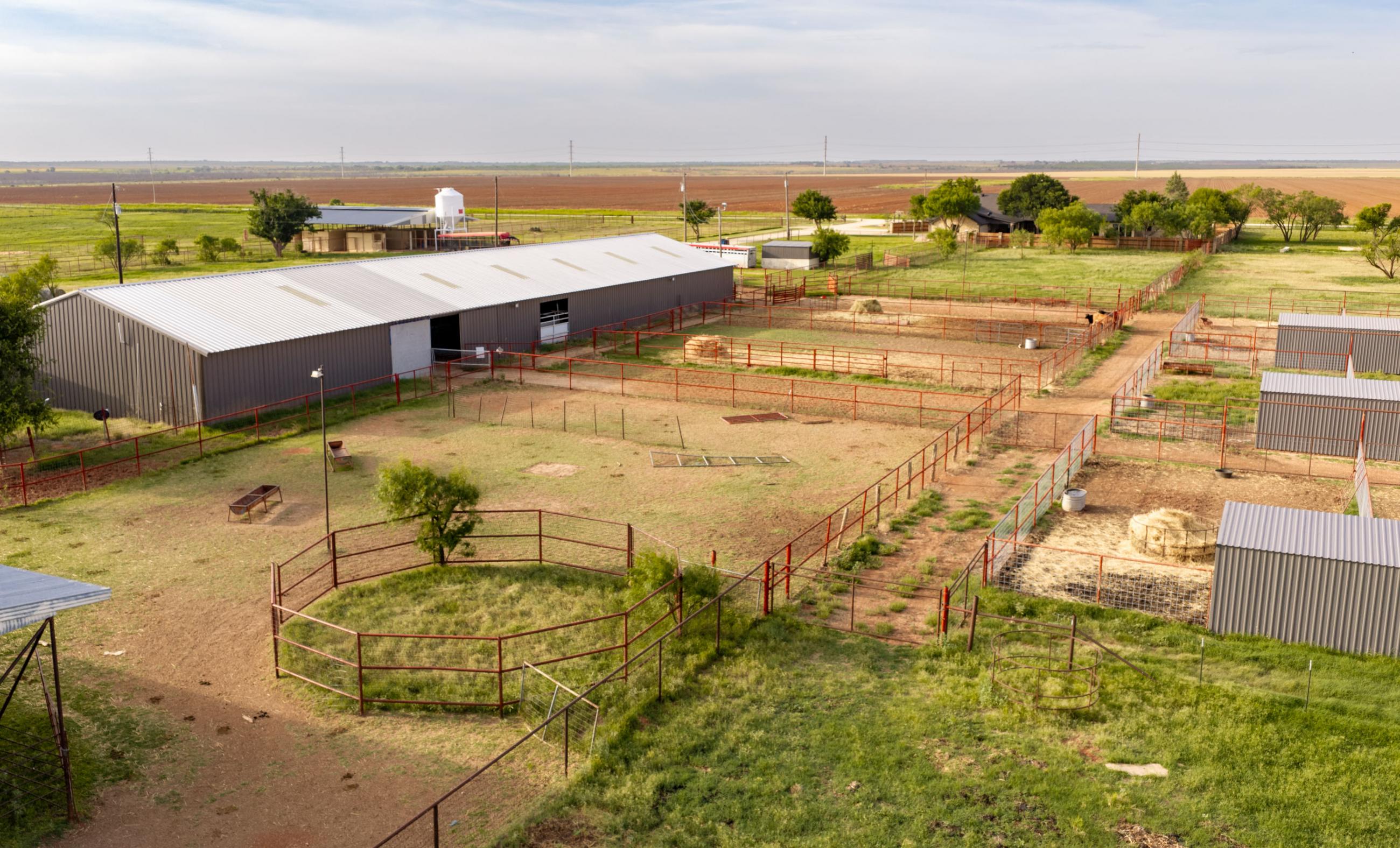 Homestead Genetics property photograph 35