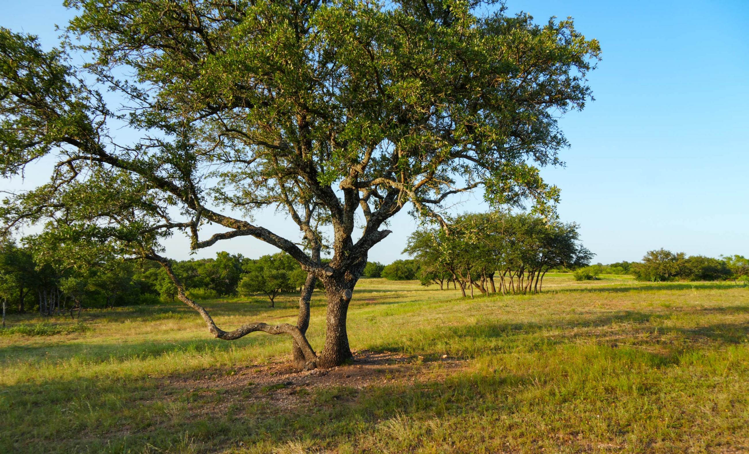 Paint Creek Lakes Ranch property photograph 12