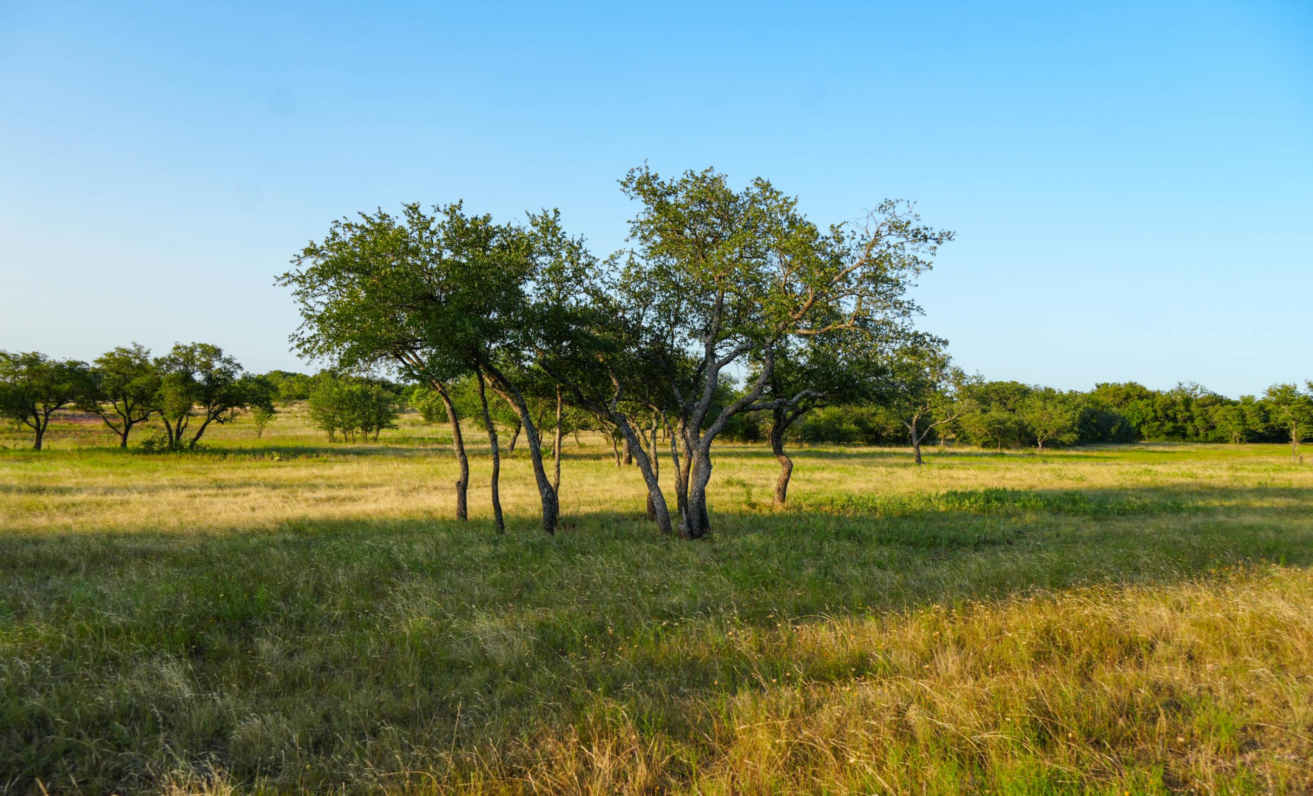 Paint Creek Lakes Ranch property photograph 19