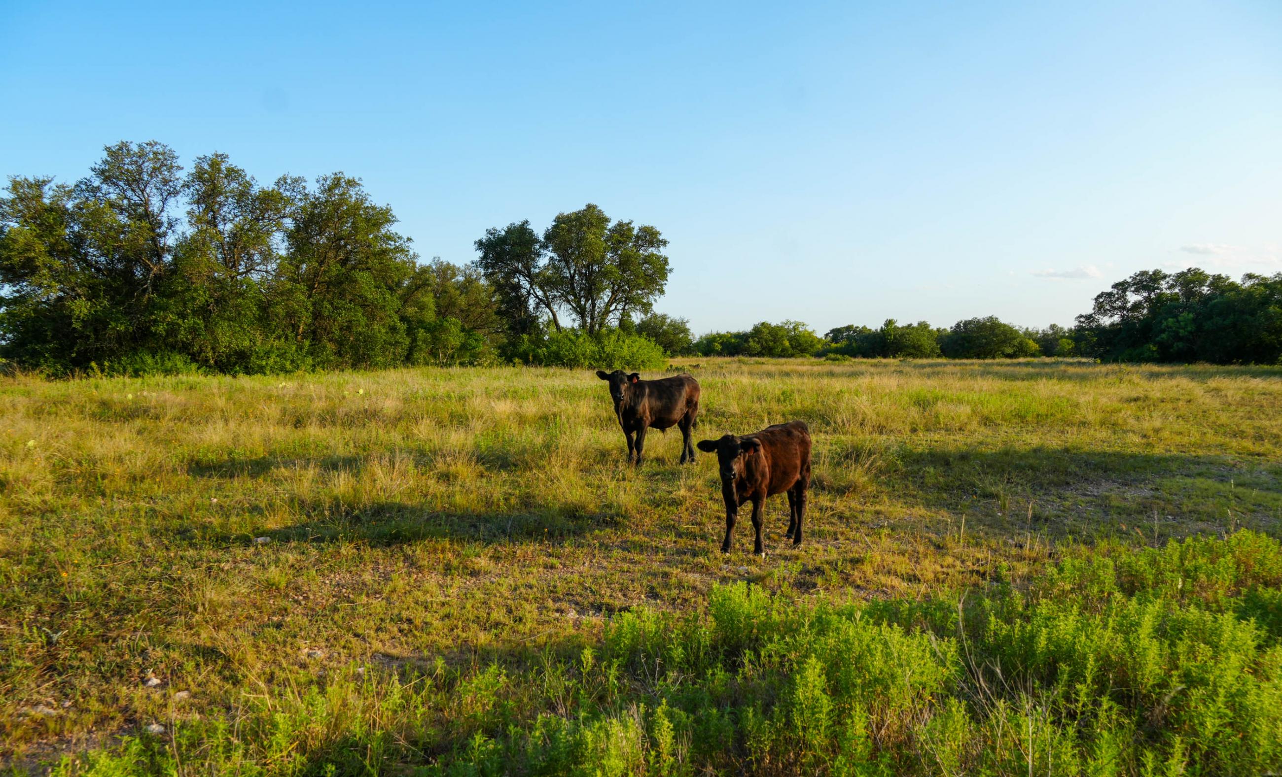 Paint Creek Lakes Ranch property photograph 18