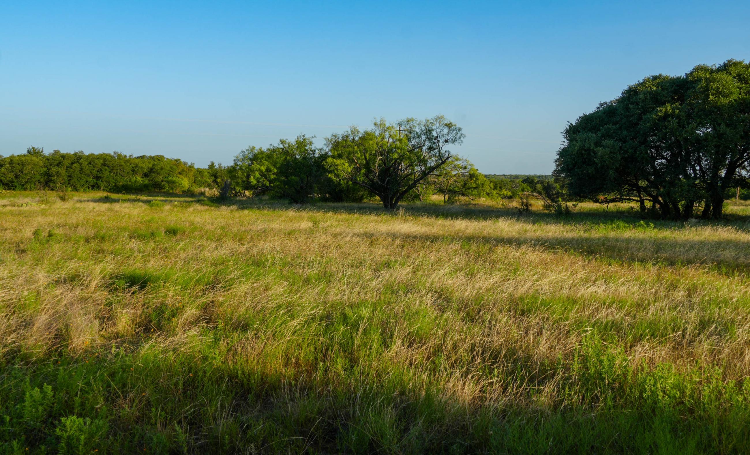 Paint Creek Lakes Ranch property photograph 17
