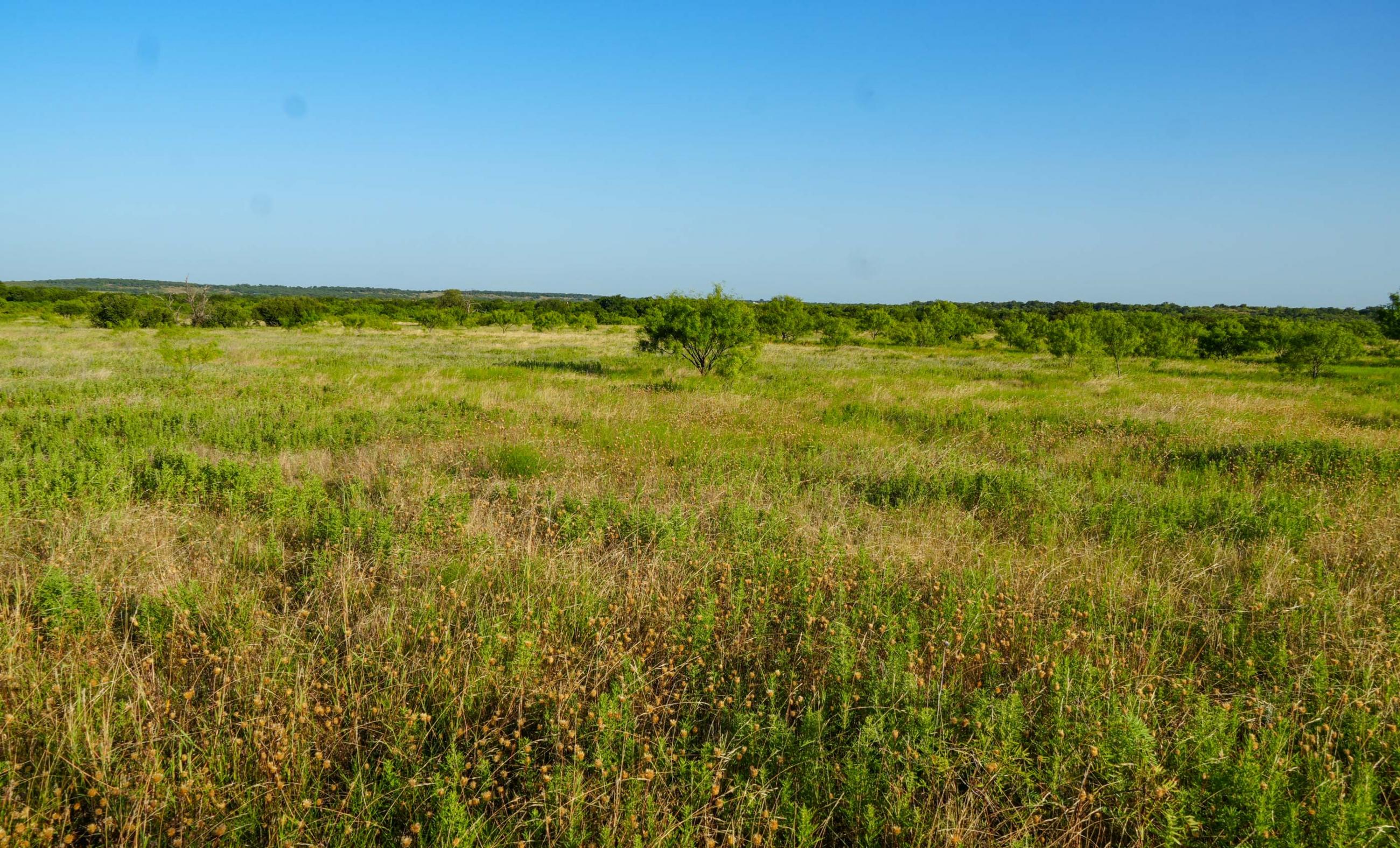 Paint Creek Lakes Ranch property photograph 8