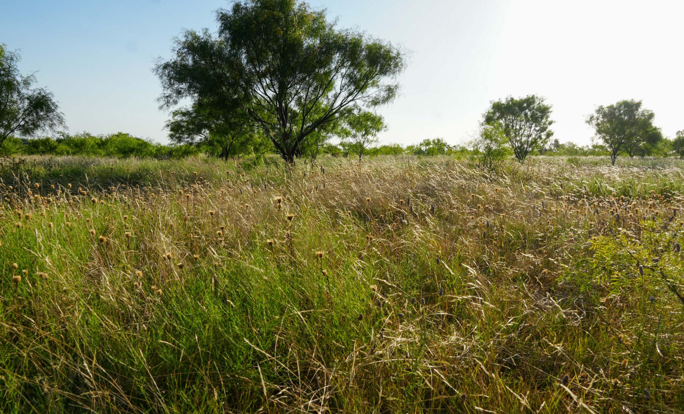 Paint Creek Lakes Ranch property photograph 6