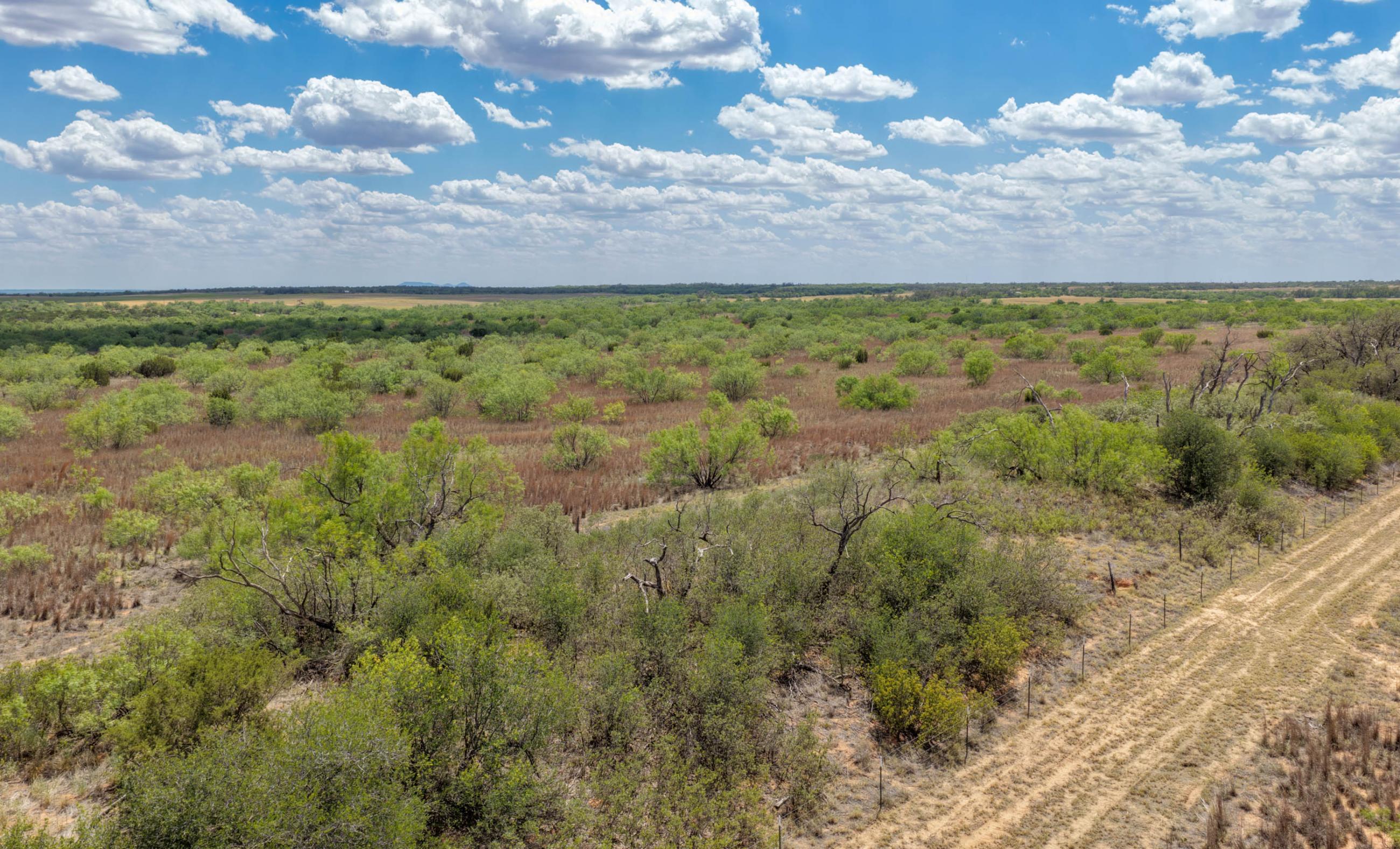 Stonewall Highway 83 Ranch property photograph 7